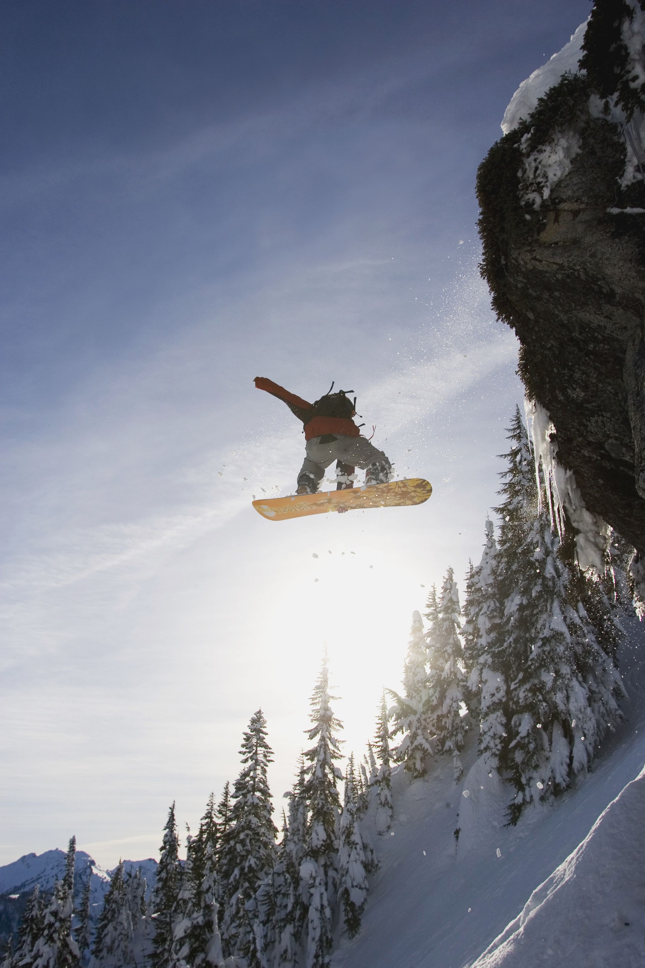 2133x3200 Snowboarding Steven's Pass Wall Mural