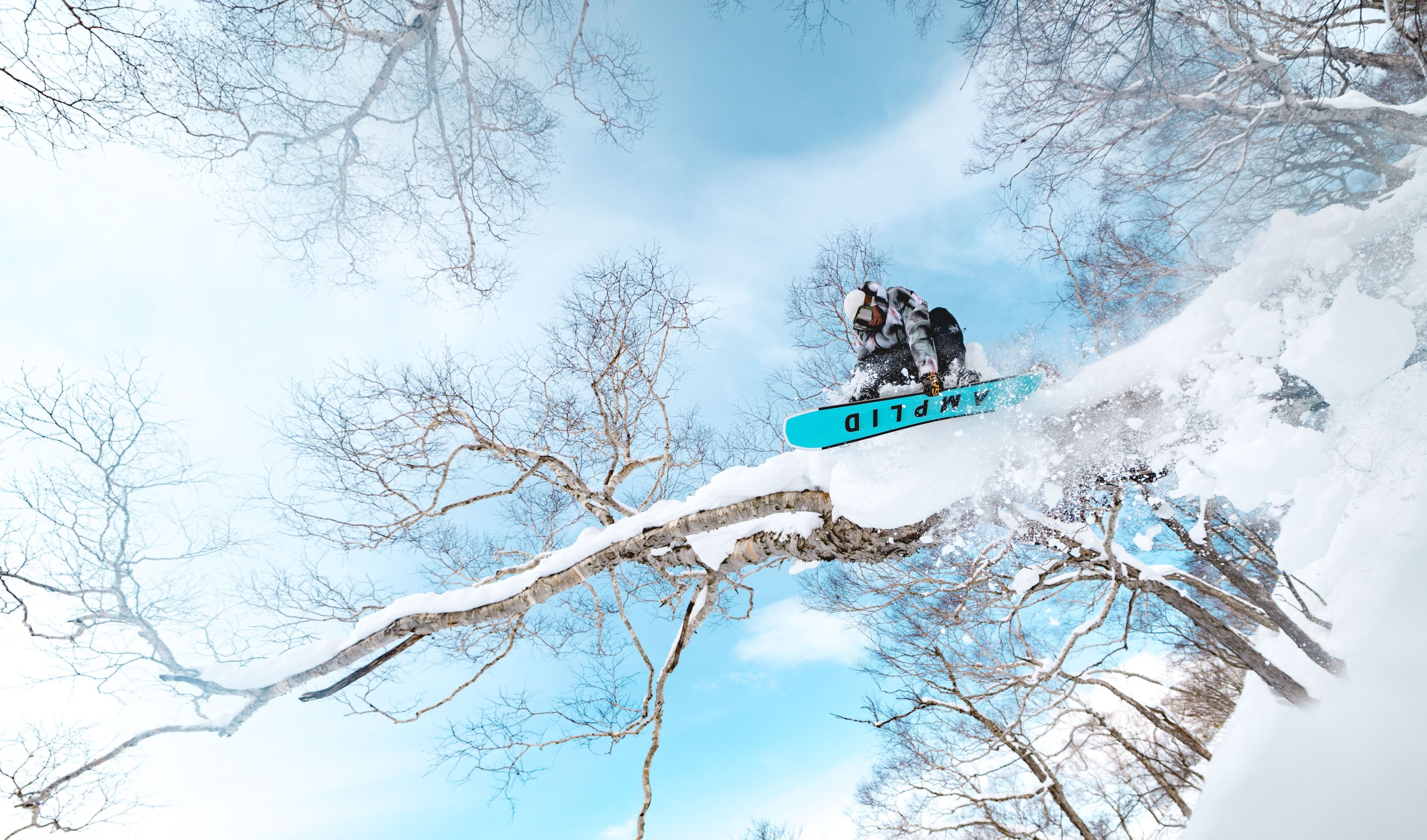 3000x1766 Amplid Snowboards. High Performance Boards