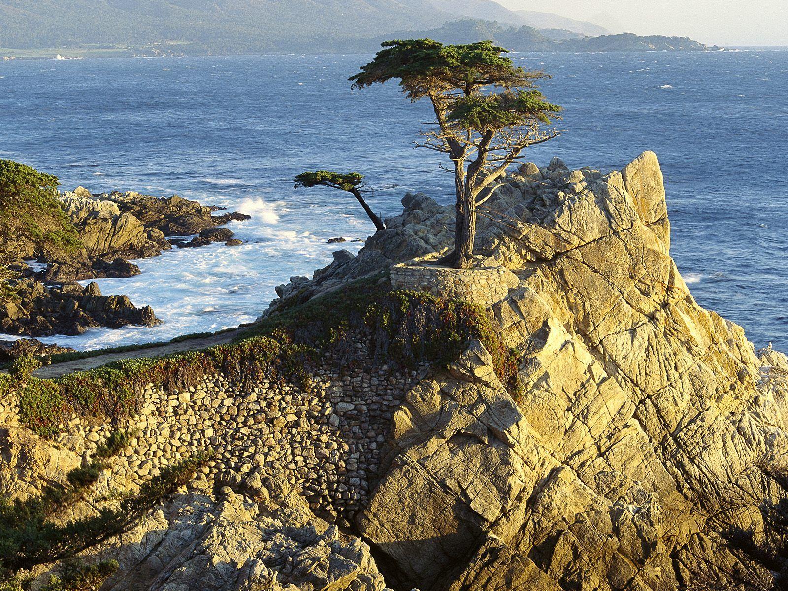 1600x1200 Lono Cypress / Pebble Beach / California / USA Desktop wallpaper
