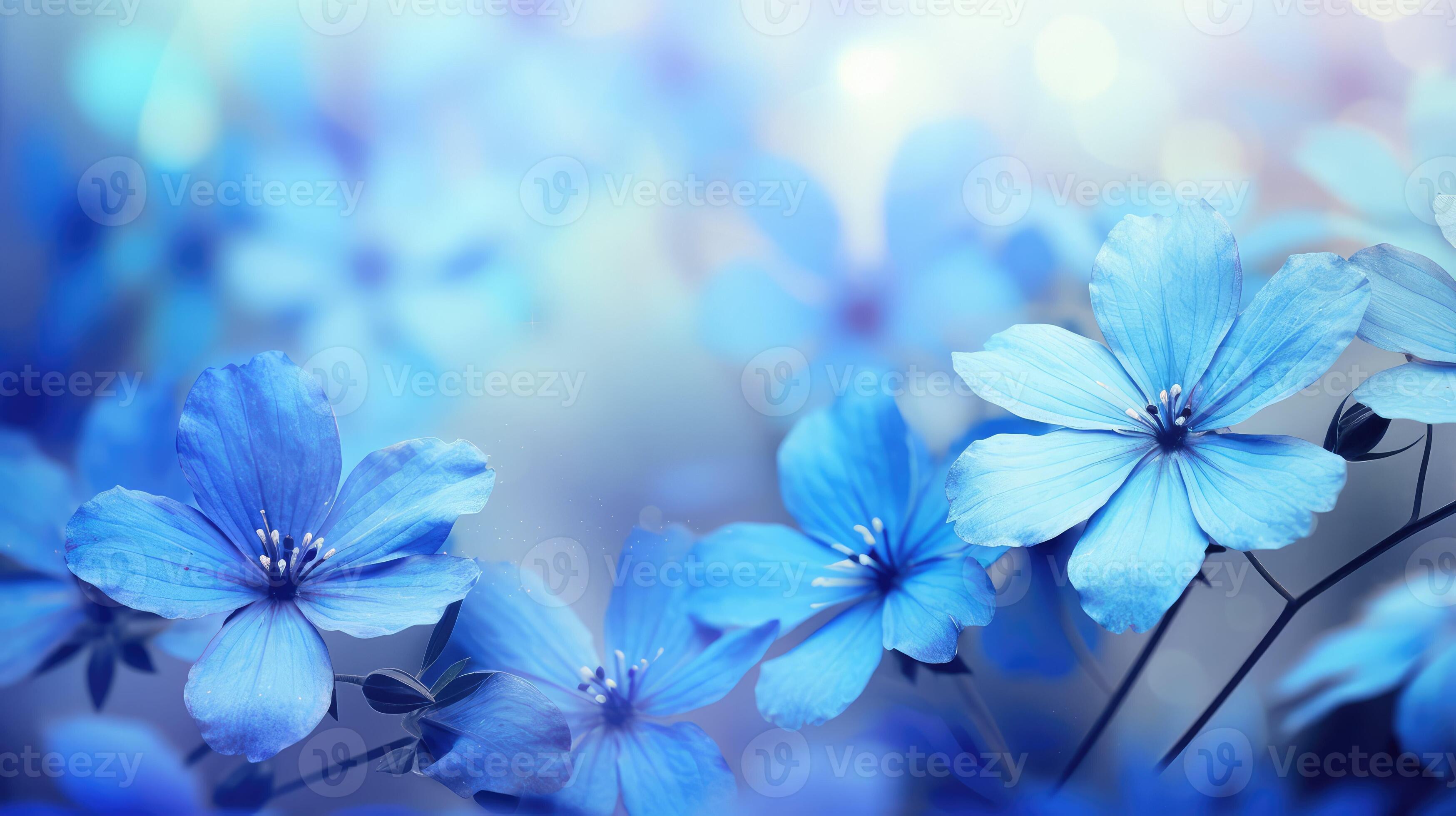 3497x1960 delicate blue floral background