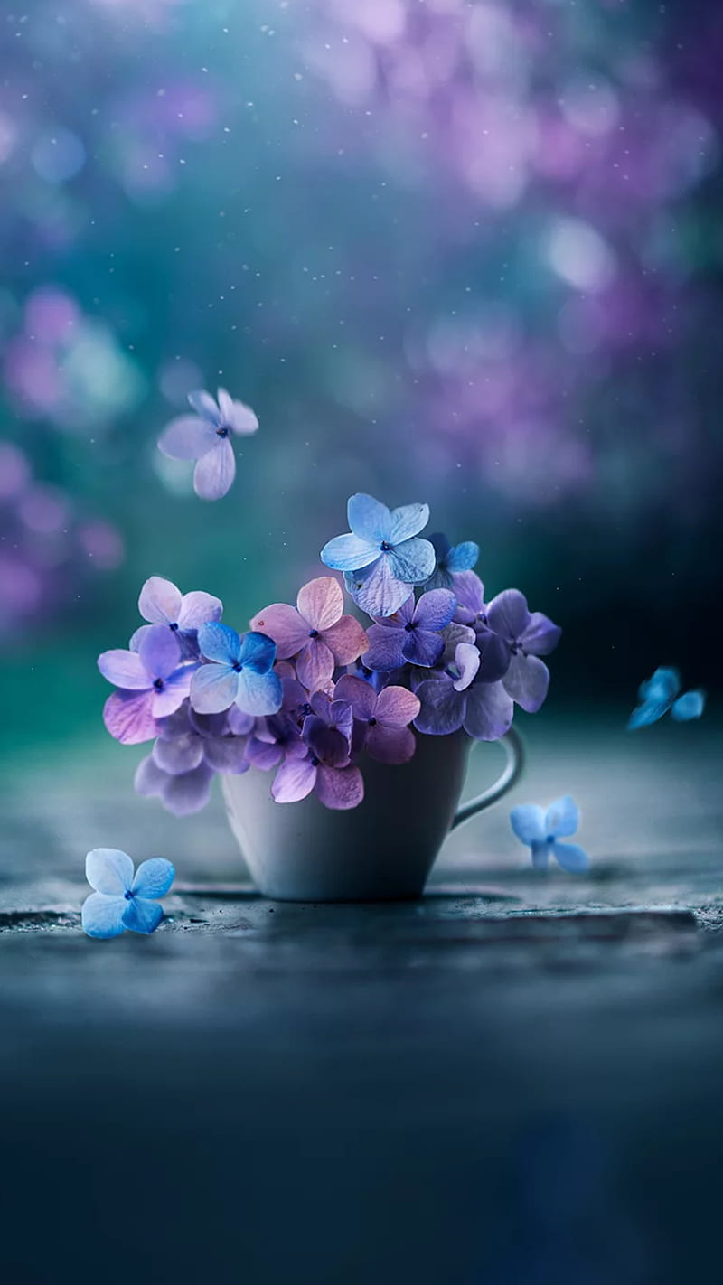 800x1422 Flowers, blue, bouquet, natural, pink, purple, vase, HD phone wallpaper