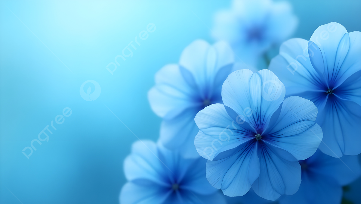 1200x677 High Resolution Blue Floral Design For Desktop Background, Blue Flower Wallpaper, Floral Background, Delicate Petals Background Image And Wallpaper for Free Download