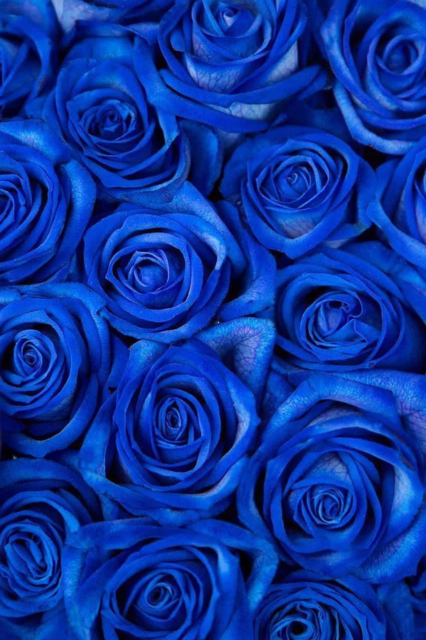 850x1275 Download A soothing array of Blue Flowers for a calming Aesthetic Wallpaper