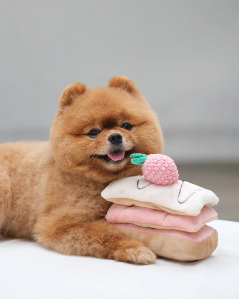 800x1000 PUPS & BUBS. Strawberry Mille Feuille Nosework Dog Toy. DOG & CO