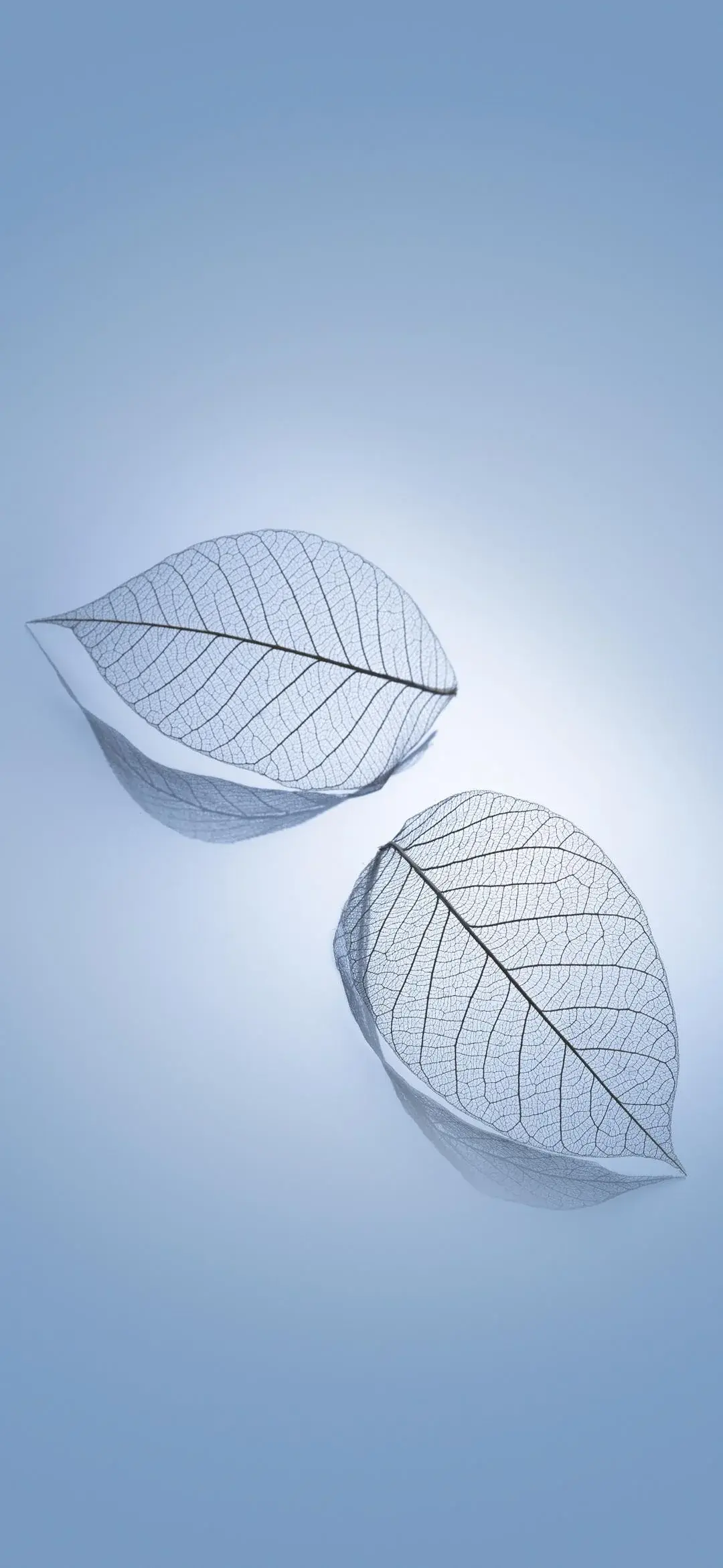 1080x2340 Xiaomi 17 Wallpaper