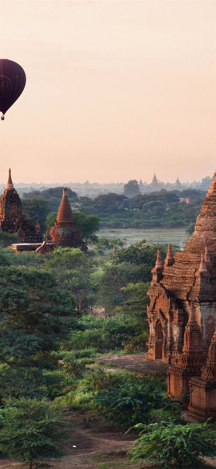 736x1593 Bagan iPhone 11 Wallpaper