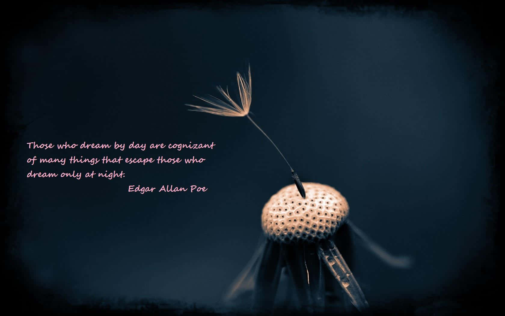 1680x1050 Poetry Picture