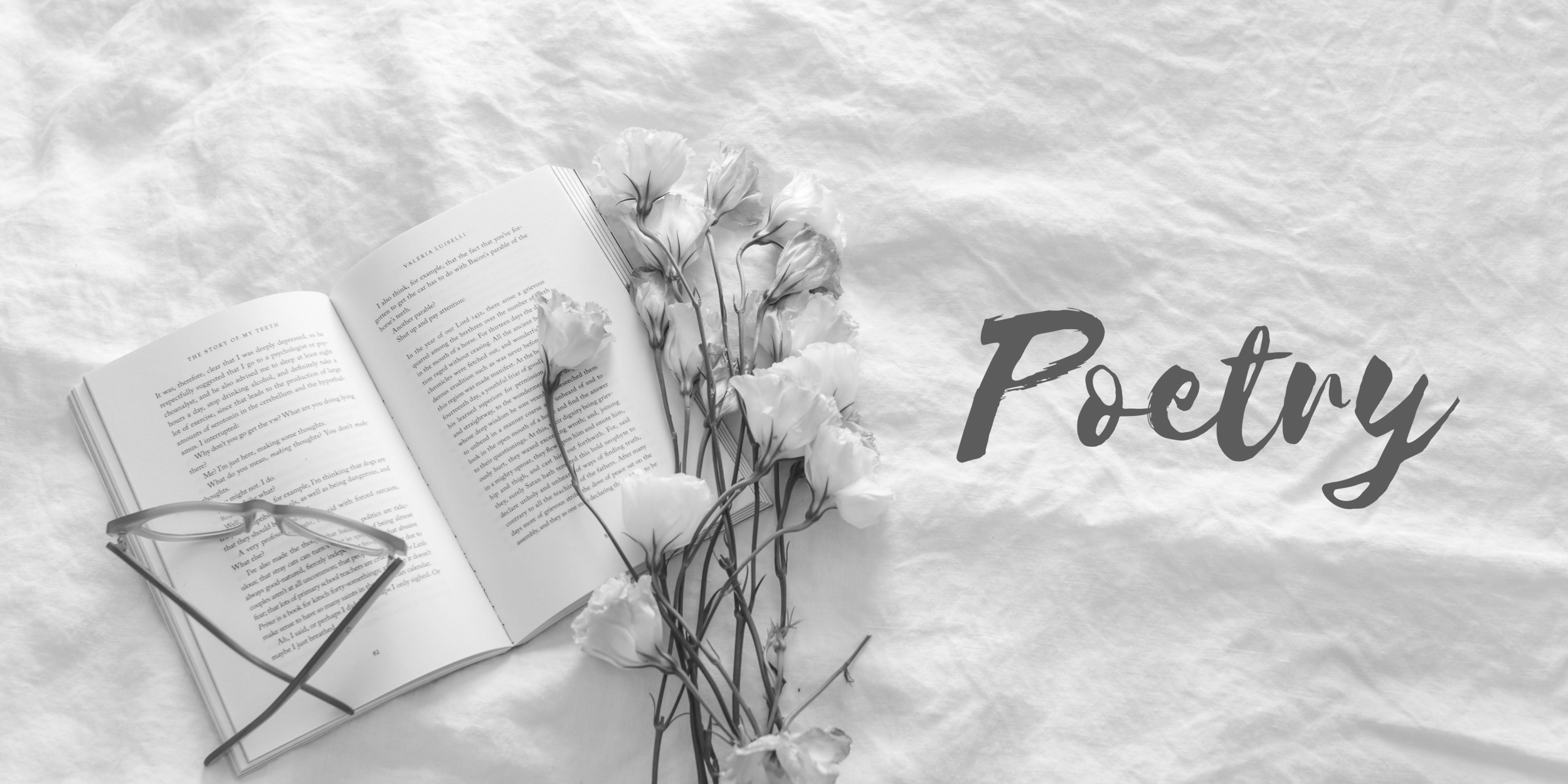 2500x1250 What Makes Poetry Special