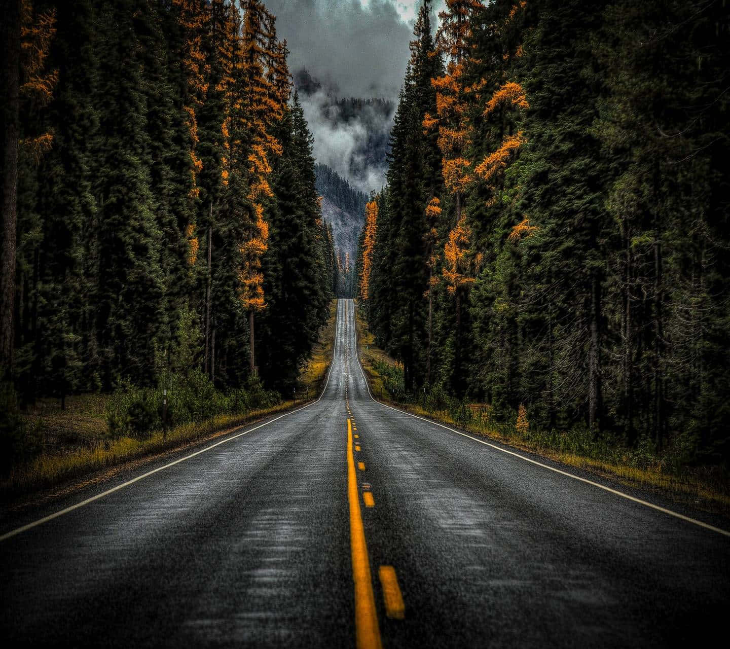 1440x1280 Download Take A Road Tripntry