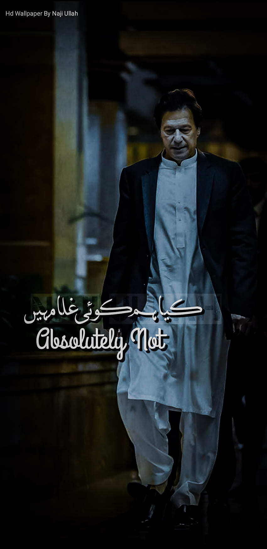 850x1747 Pm Imran Khan, absolutely_not, prime_mimster_imran_khan, erupean_vs_imran_khan, imran_khan, pakistan, amarica_vs_imran_khan, imrankhan, pm_imran_khan, kiya_Hum_koi_ghulam_hein HD phone wallpaper