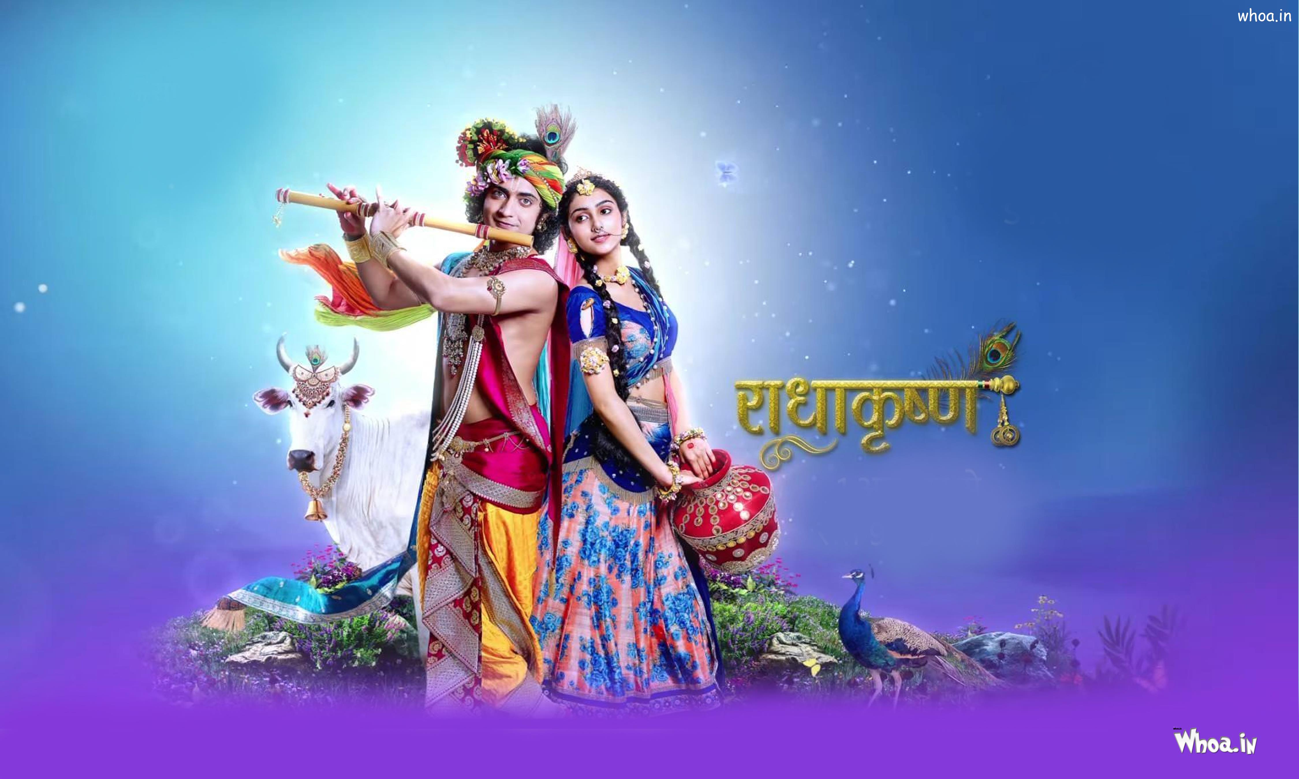 4500x2700 Cute Radha Krishna Wallpaper , Radha Krishna Image Download