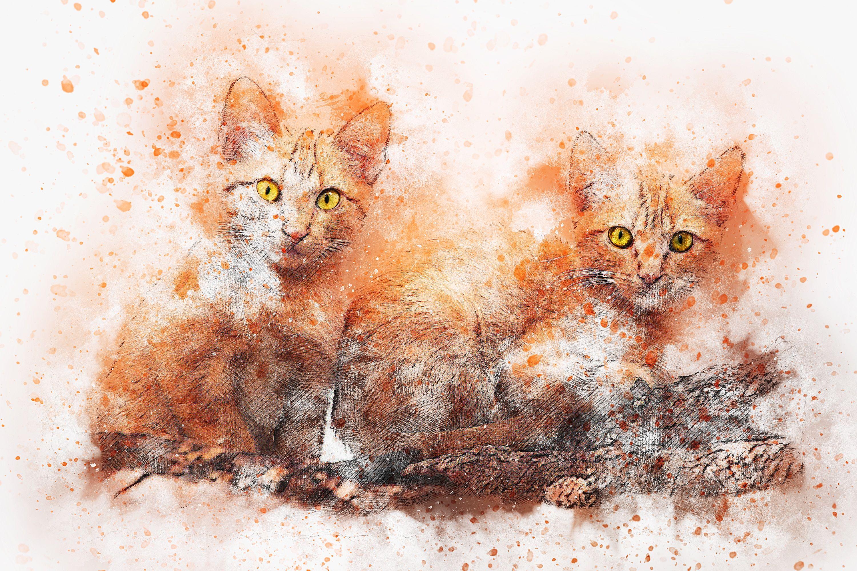 3000x2000 Free download Wallpaper of Artistic Red Art Cat Painting Pet