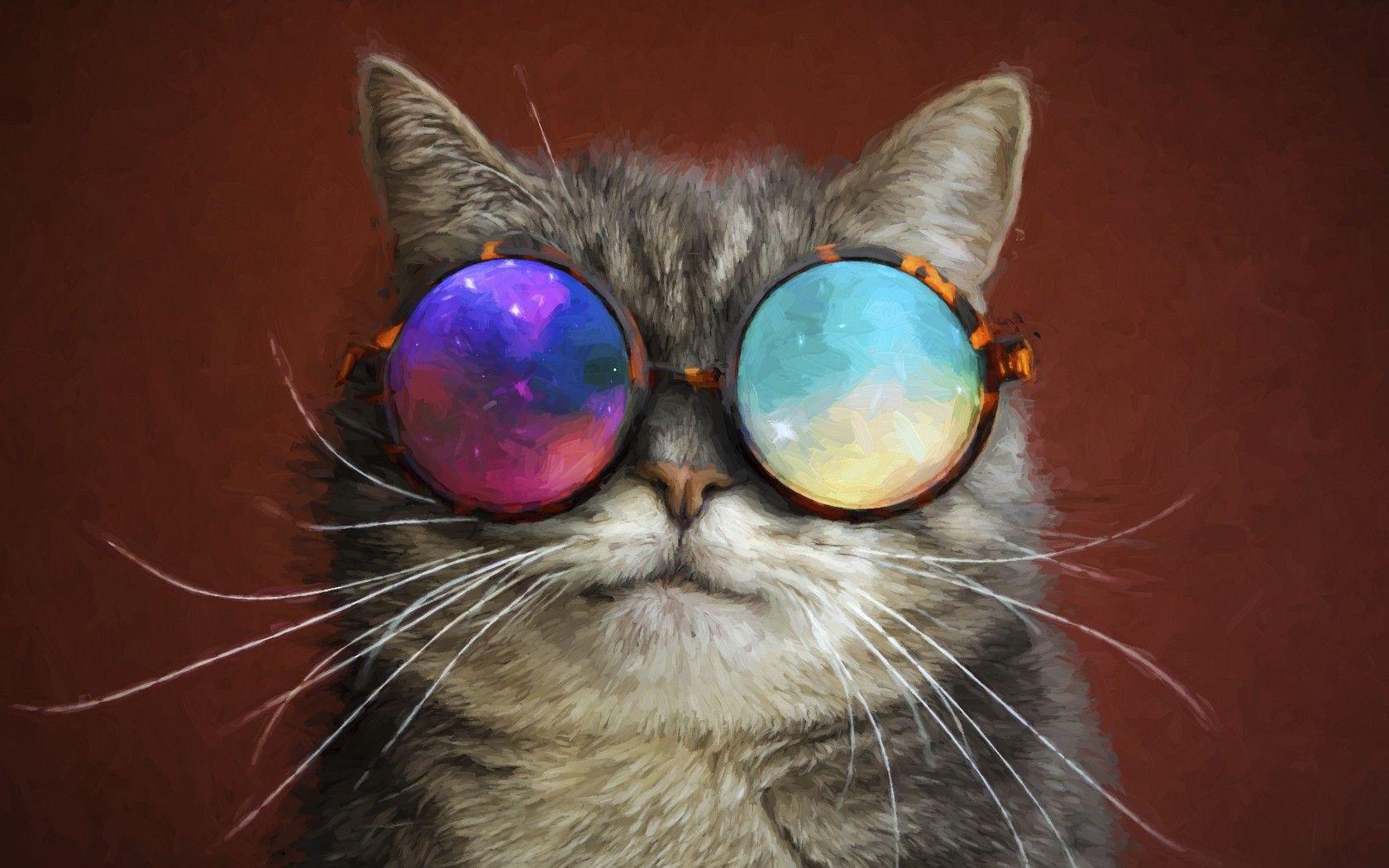 1680x1050 Cat Glasses Party Cool Painting 1680x1050 Resolution HD