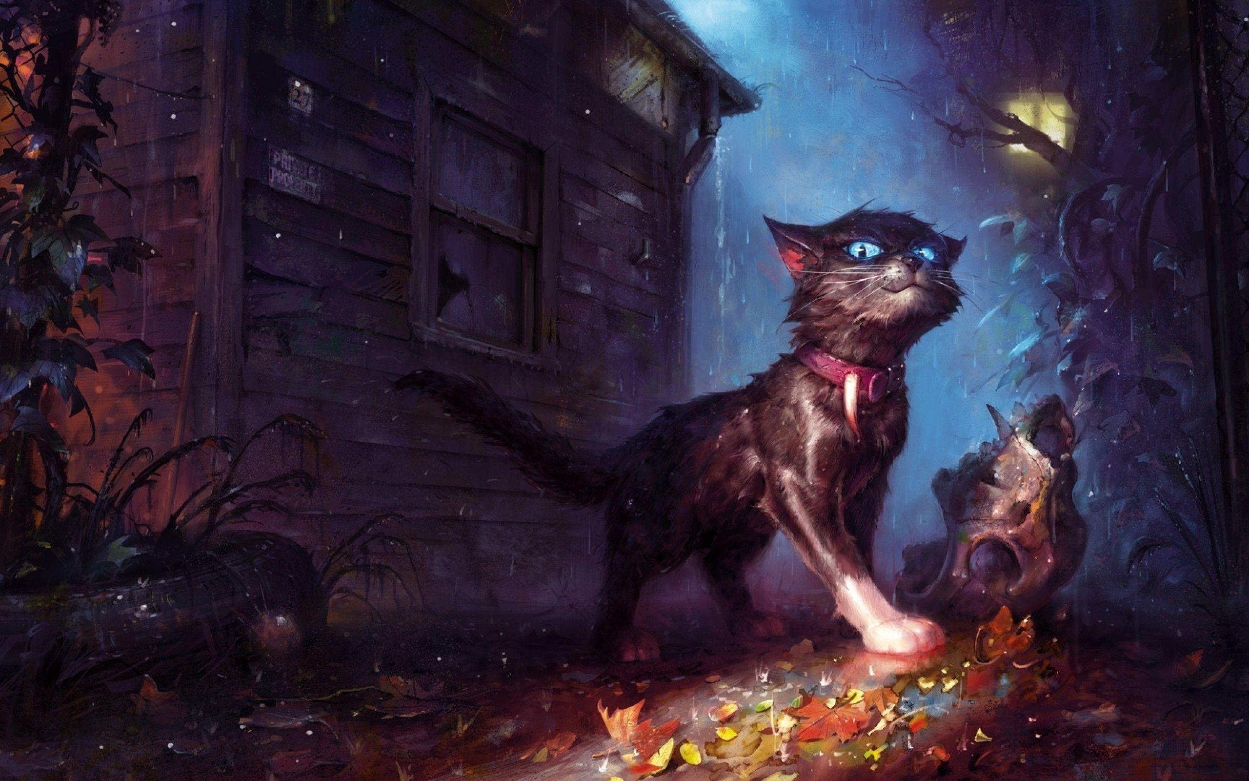 2560x1600 Download 2560x1600 Creepy Cat, Fantasy Pets, Raining, Autumn