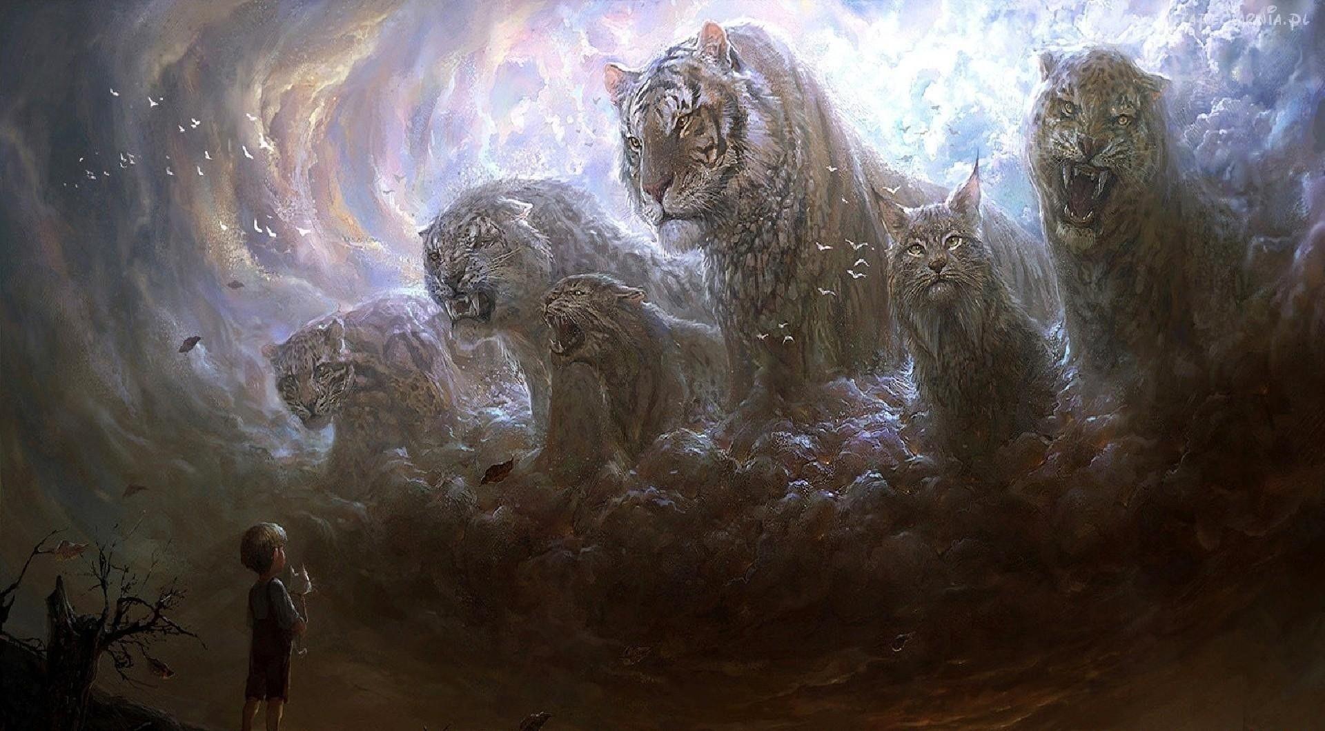 1920x1060 Boy, Predators, Cats, Grin, Fog Wallpaper And Background