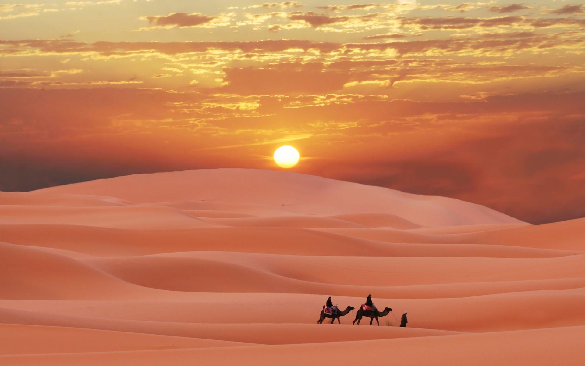 1920x1200 Free download Sahara Wallpaper Background [1920x1200]