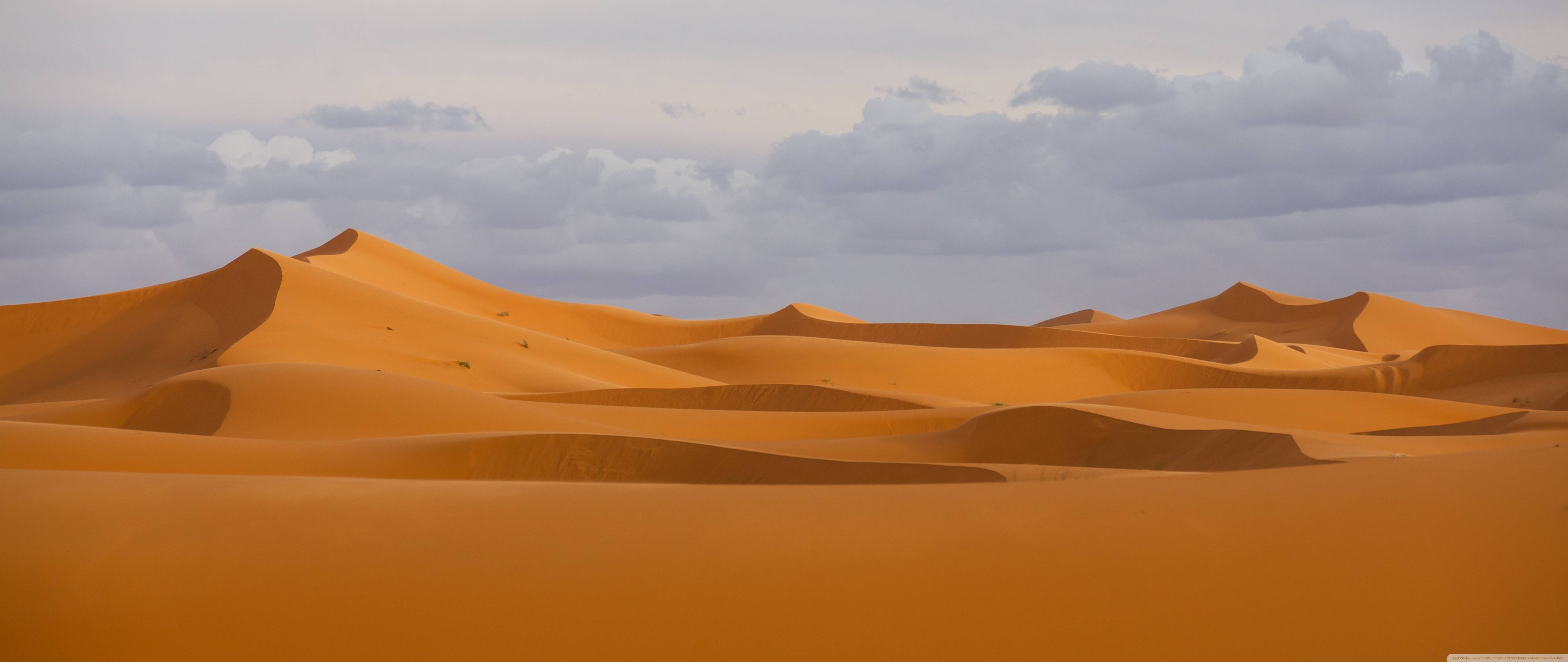 Sahara Wallpapers - Top Free Sahara Backgrounds - WallpaperAccess