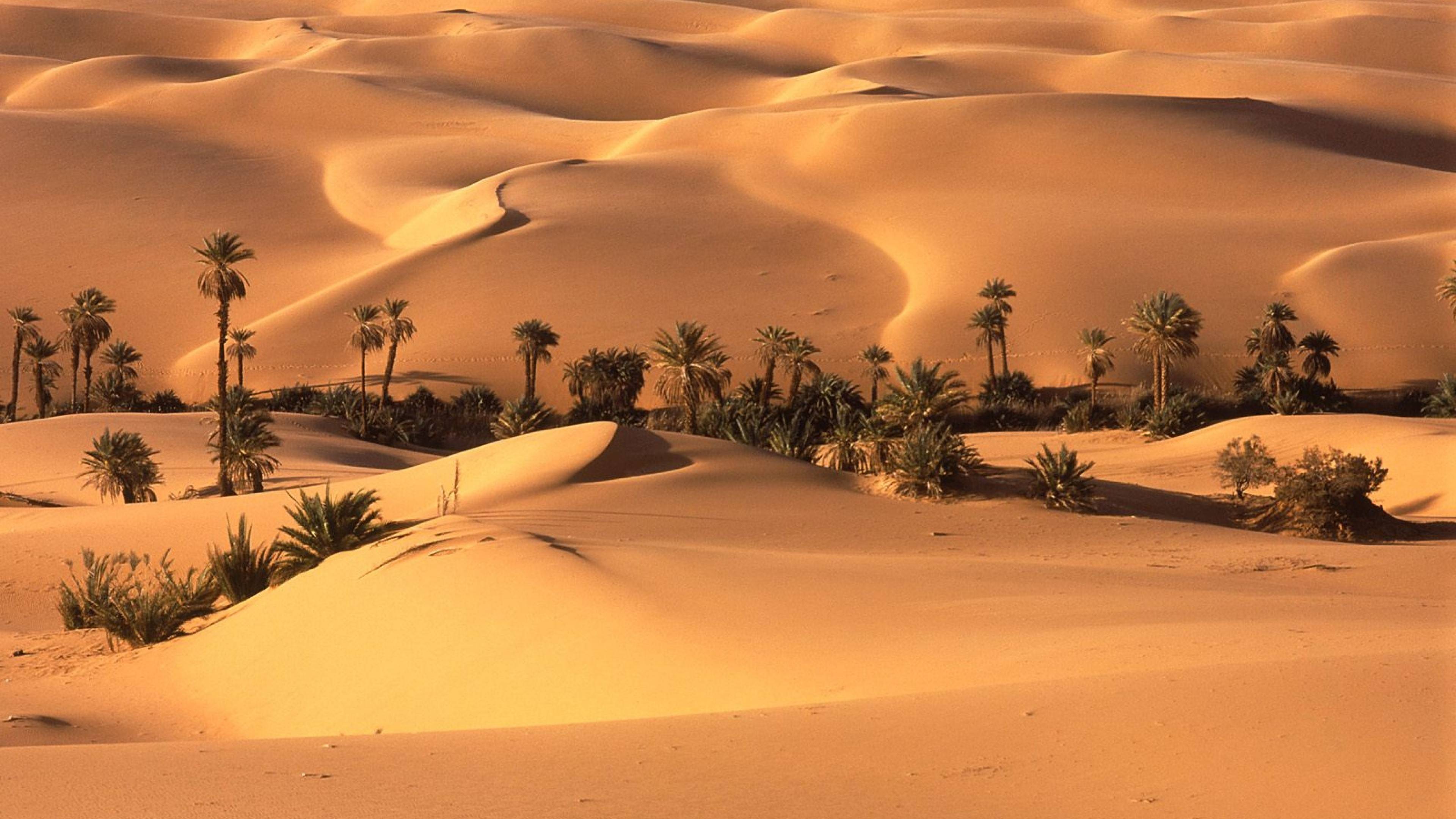 Sahara Wallpapers - Top Free Sahara Backgrounds - WallpaperAccess