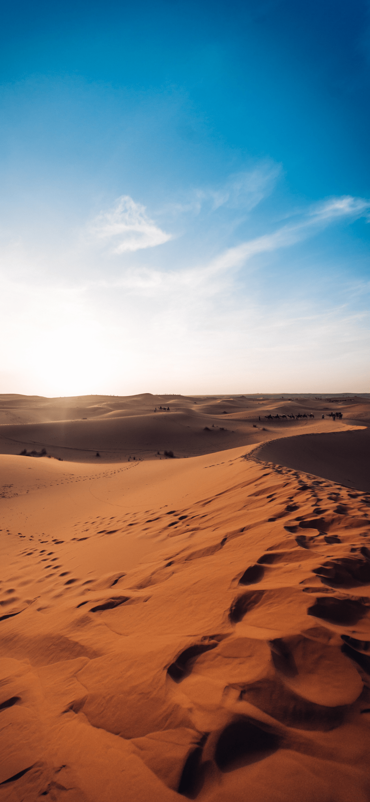 1242x2688 Sahara Desert Wallpaper for iPhone X, 6