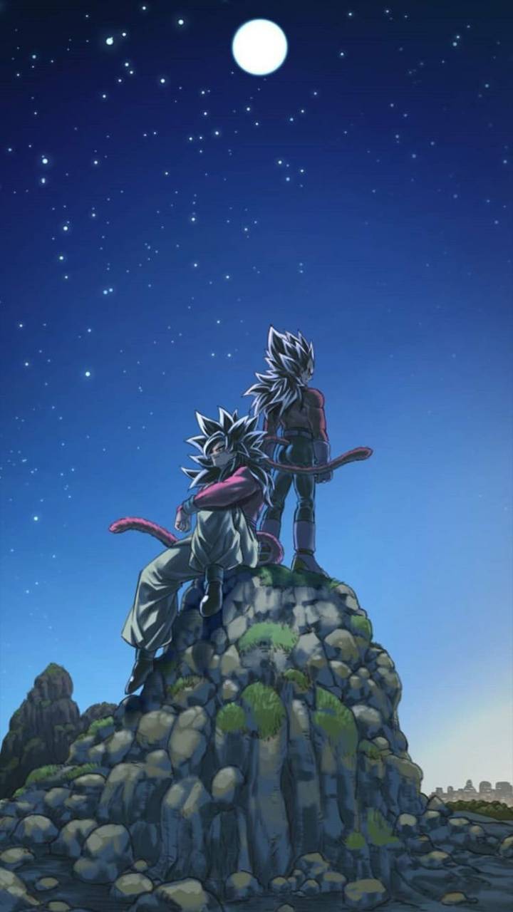 720x1280 Goku Vegeta SSJ4 wallpaper