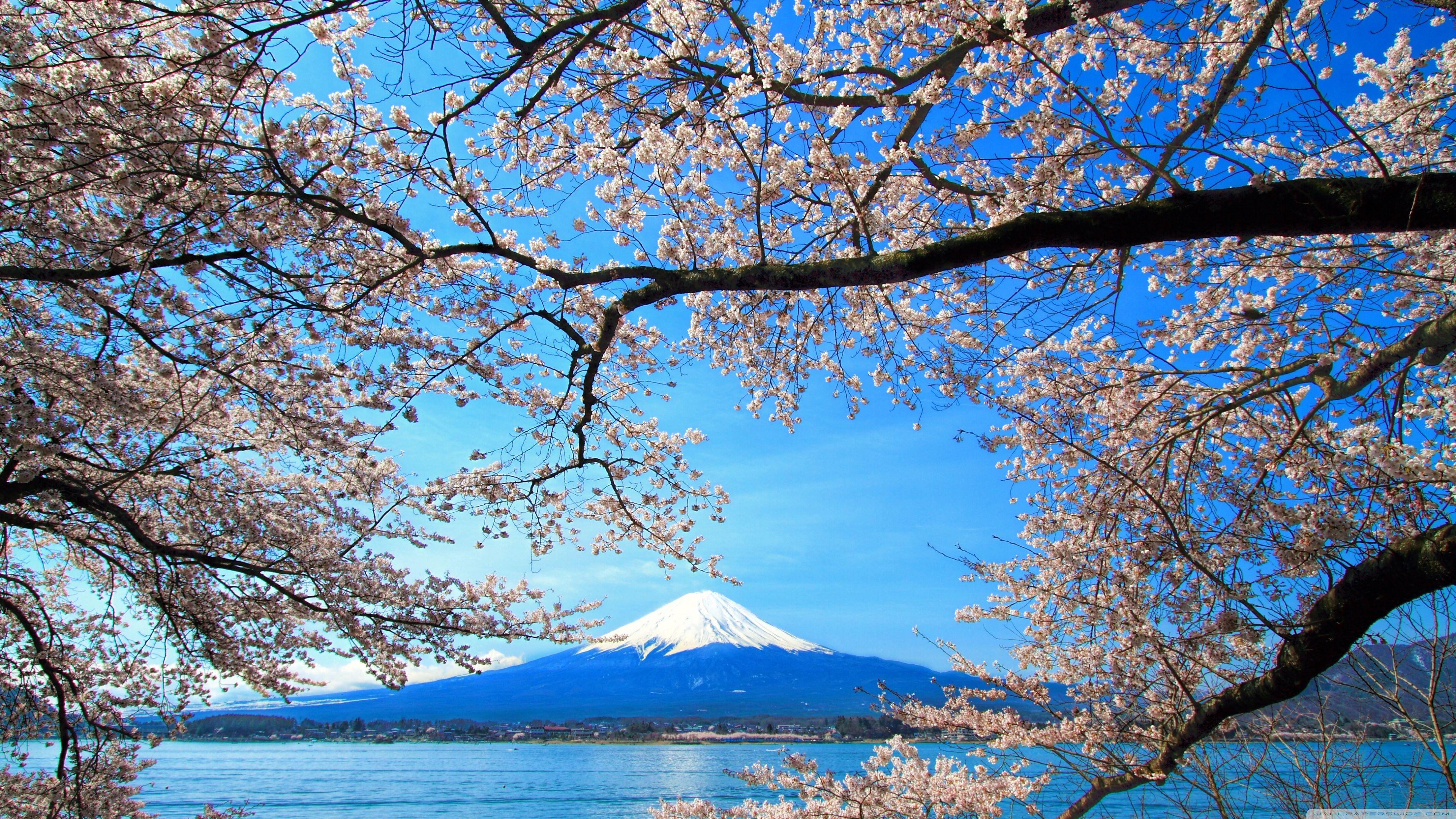 Mt. Fuji 4K Wallpapers - Top Free Mt. Fuji 4K Backgrounds - WallpaperAccess