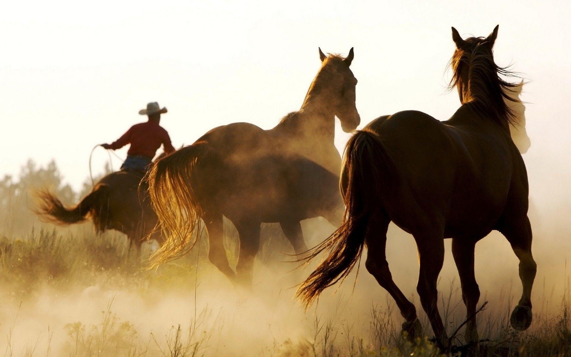 Western Cowboy Desktop Wallpapers Top Free Western Cowboy Desktop 