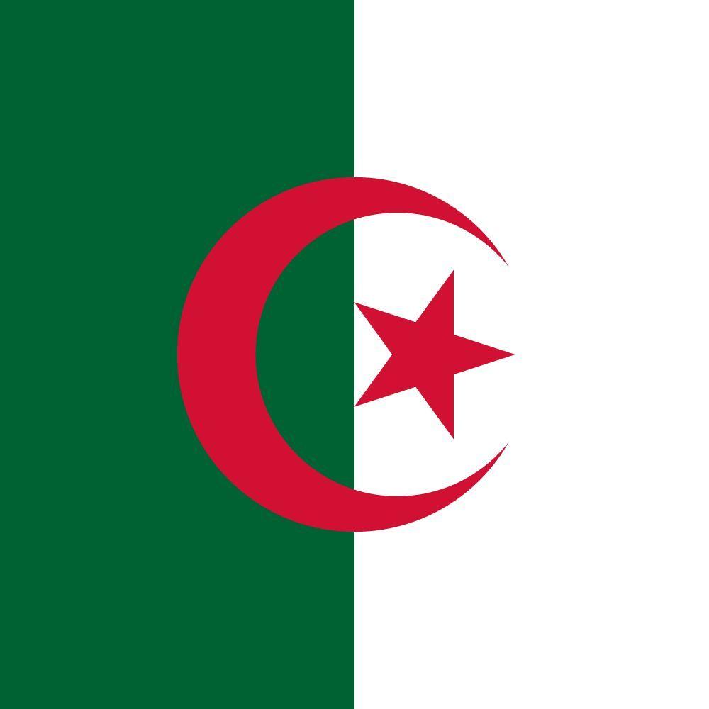 1000x1000 Flag of Algeria image and meaning Algerian flag