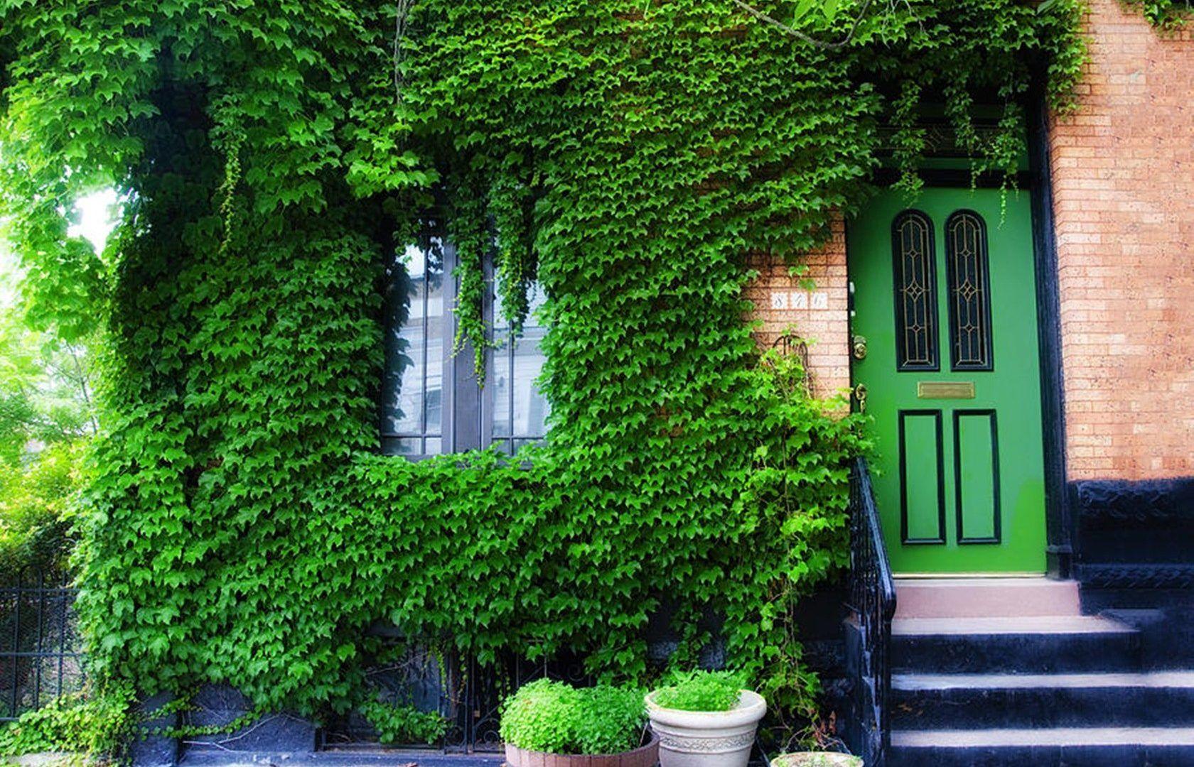 1680x1080 Houses: Beautiful Home Houses Green Architecture Green Desktop Wallpaper