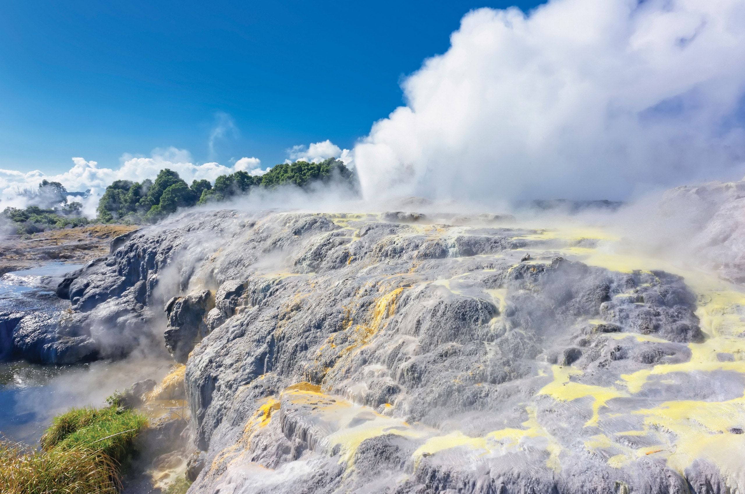 2560x1698 Princess Cruises Of Rotorua: Te Puia Geyser & Maori Arts