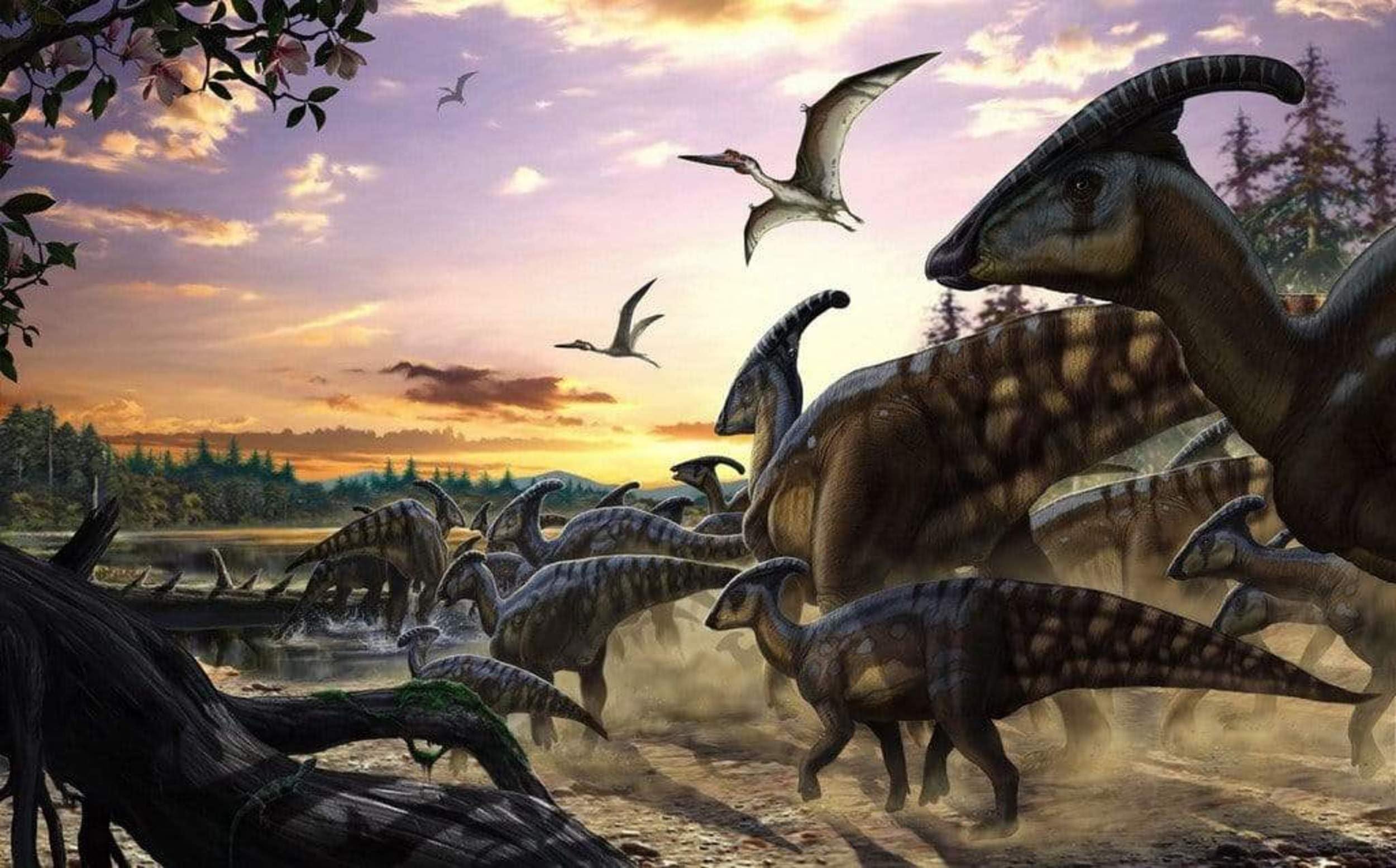 2500x1555 Komar Dino IANGX9 013 Parasaurolophus Fire Photo Wallpaper 450 X 280 Cm (Width X Height) For Children's Room, Dino, Jurassic, Dinosaur, Wallpaper, Multicoloured : Amazon.com.be: Tools & Home Improvement
