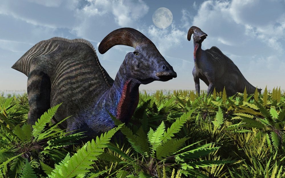 1000x625 A pair of Parasaurolophus duckbill dinosaurs during Earth's Cretaceous Period Poster Print # VARPSTMAS100530P