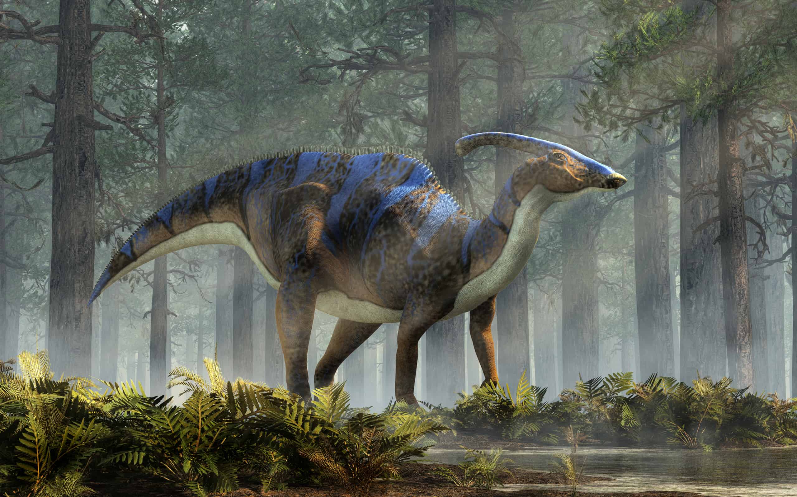 2560x1597 Meet the Parasaurolophus