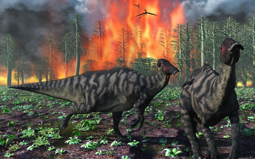1000x625 Parasaurolophus duckbill dinosaurs fleeing a deadly forest fire Poster Print # VARPSTMAS100802P