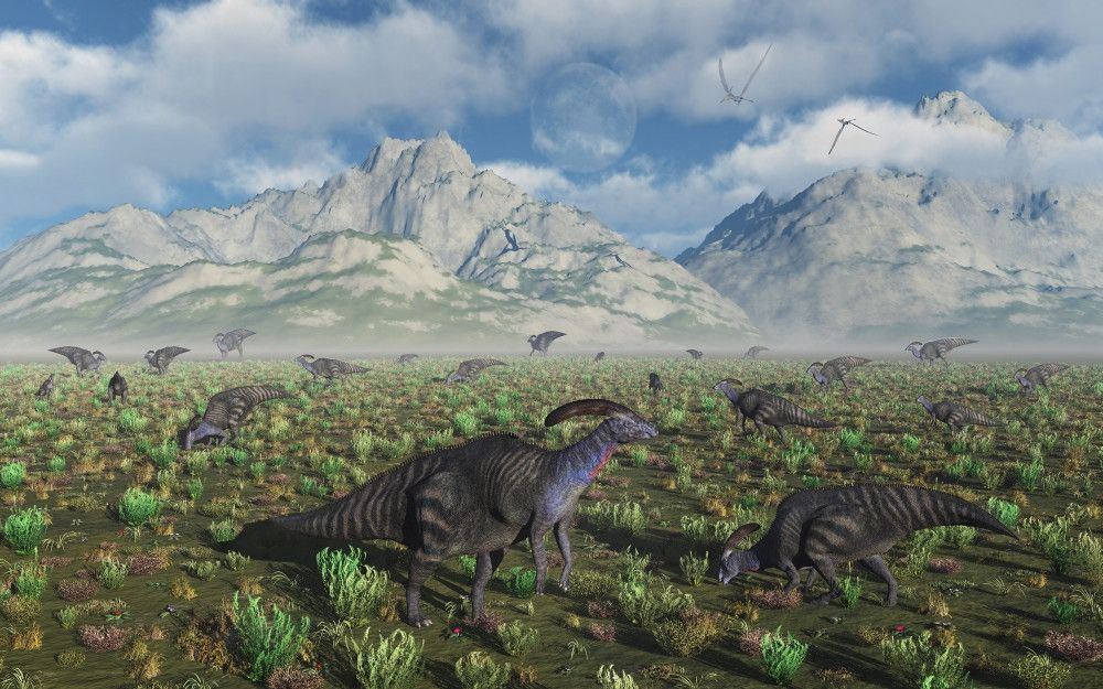 1000x625 A Herd Of Parasaurolophus Duckbill Dinosaurs. Poster Print By Mark Stevenson Stocktrek Image # VARPSTMAS600101P