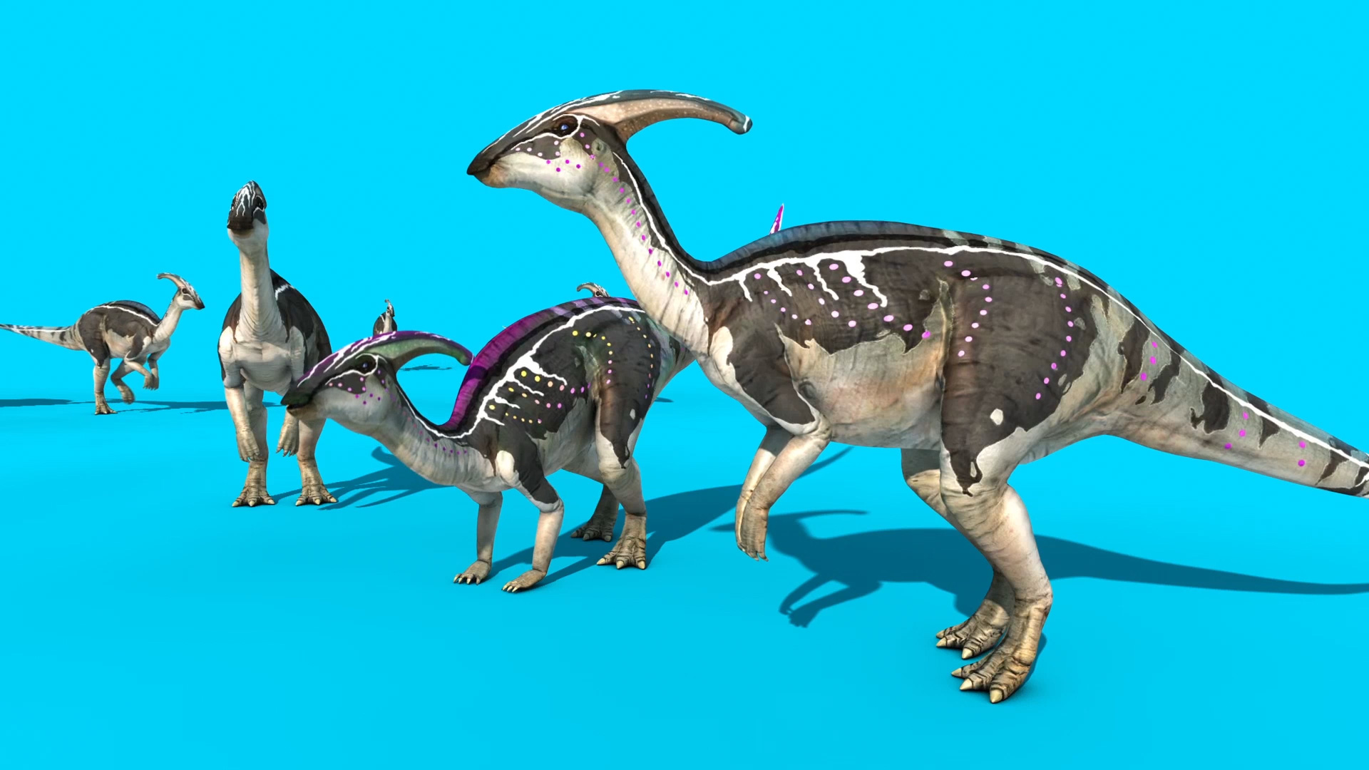 1920x1080 Parasaurolophus Model Animated