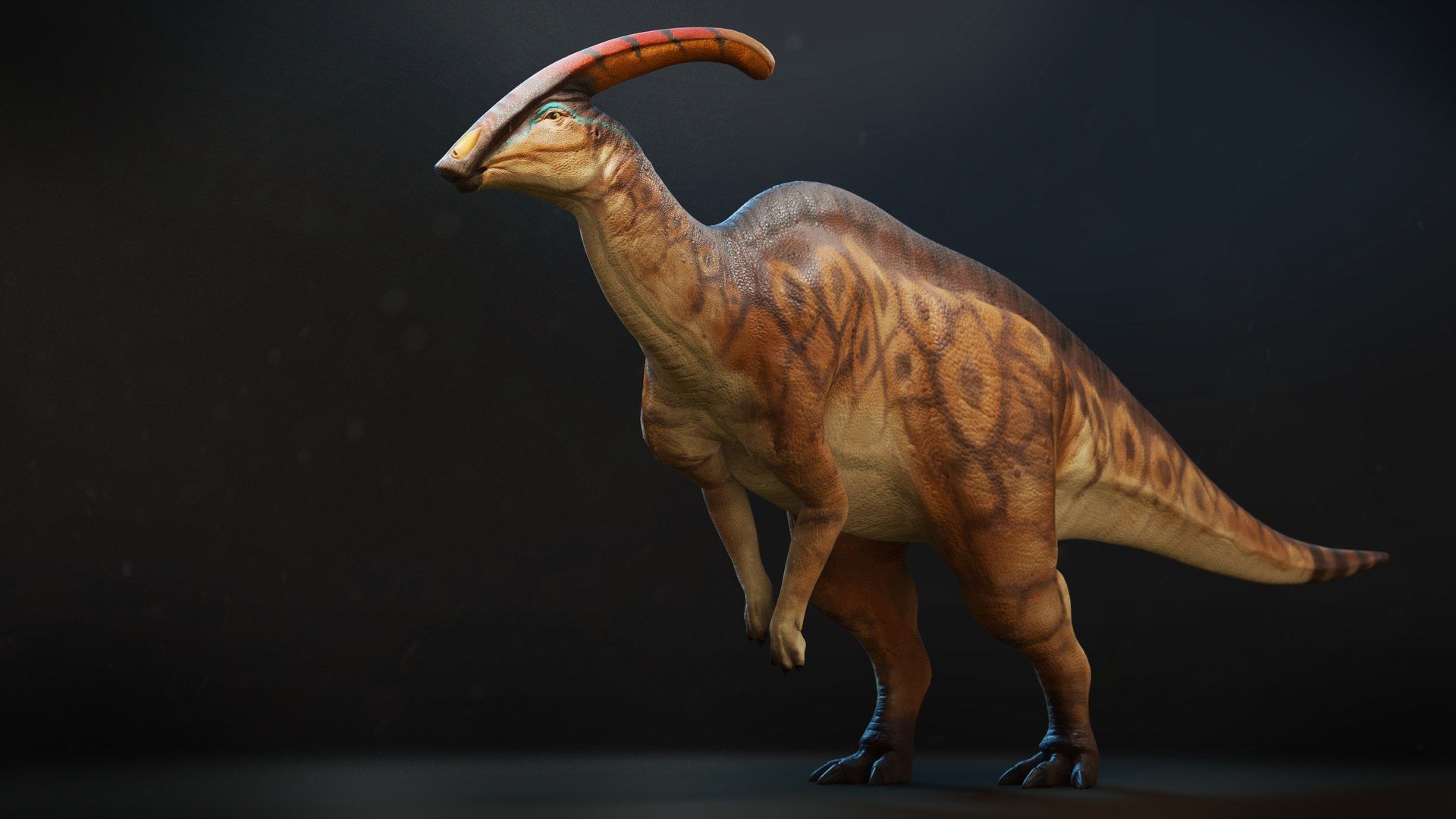 1920x1080 3D Parasaurolophus Low Poly RIG Model