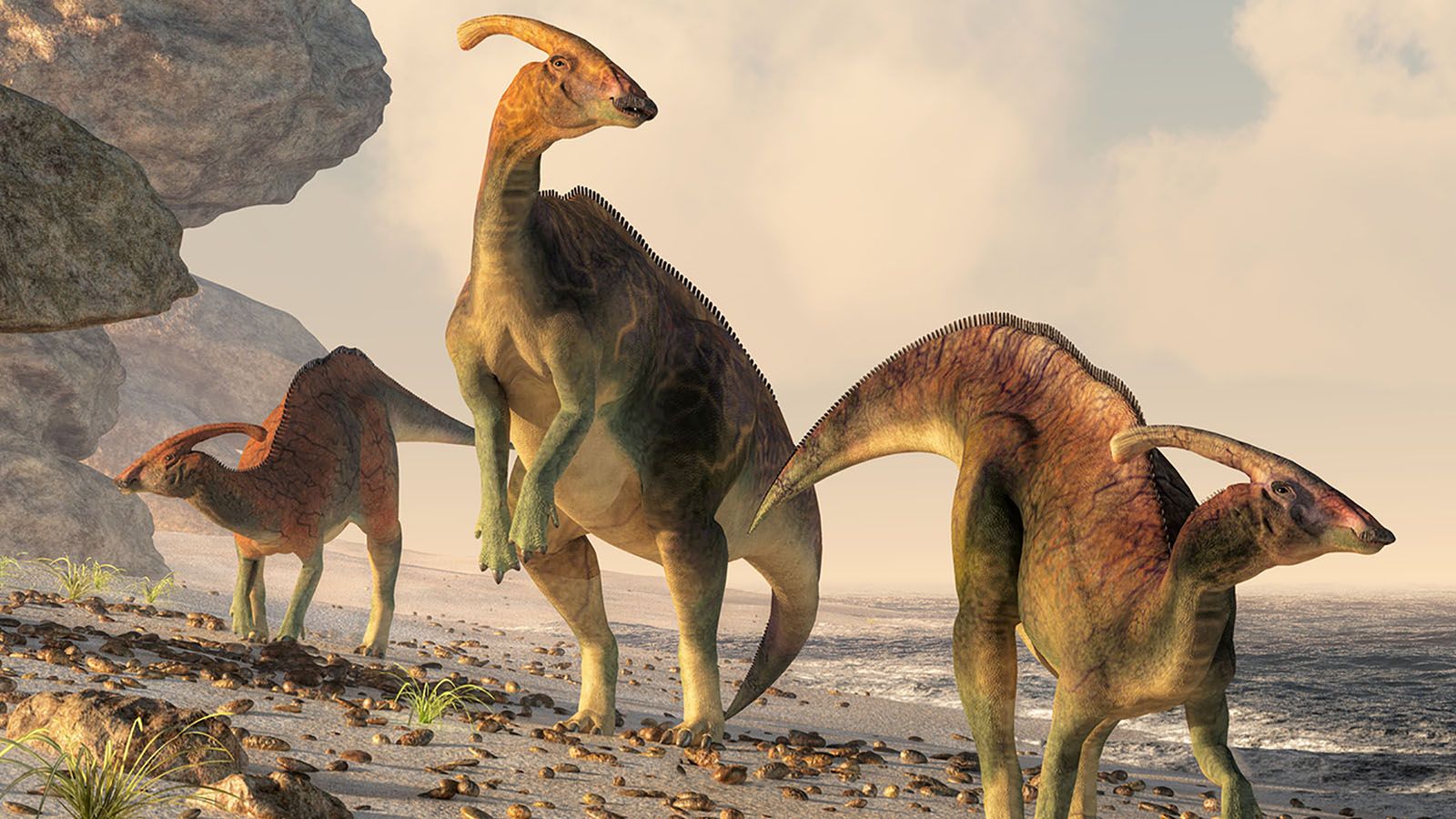 1600x900 Iconic Dinosaur's Injuries Come To Light Through Queen's Led Research. Research. Queen's University Belfast