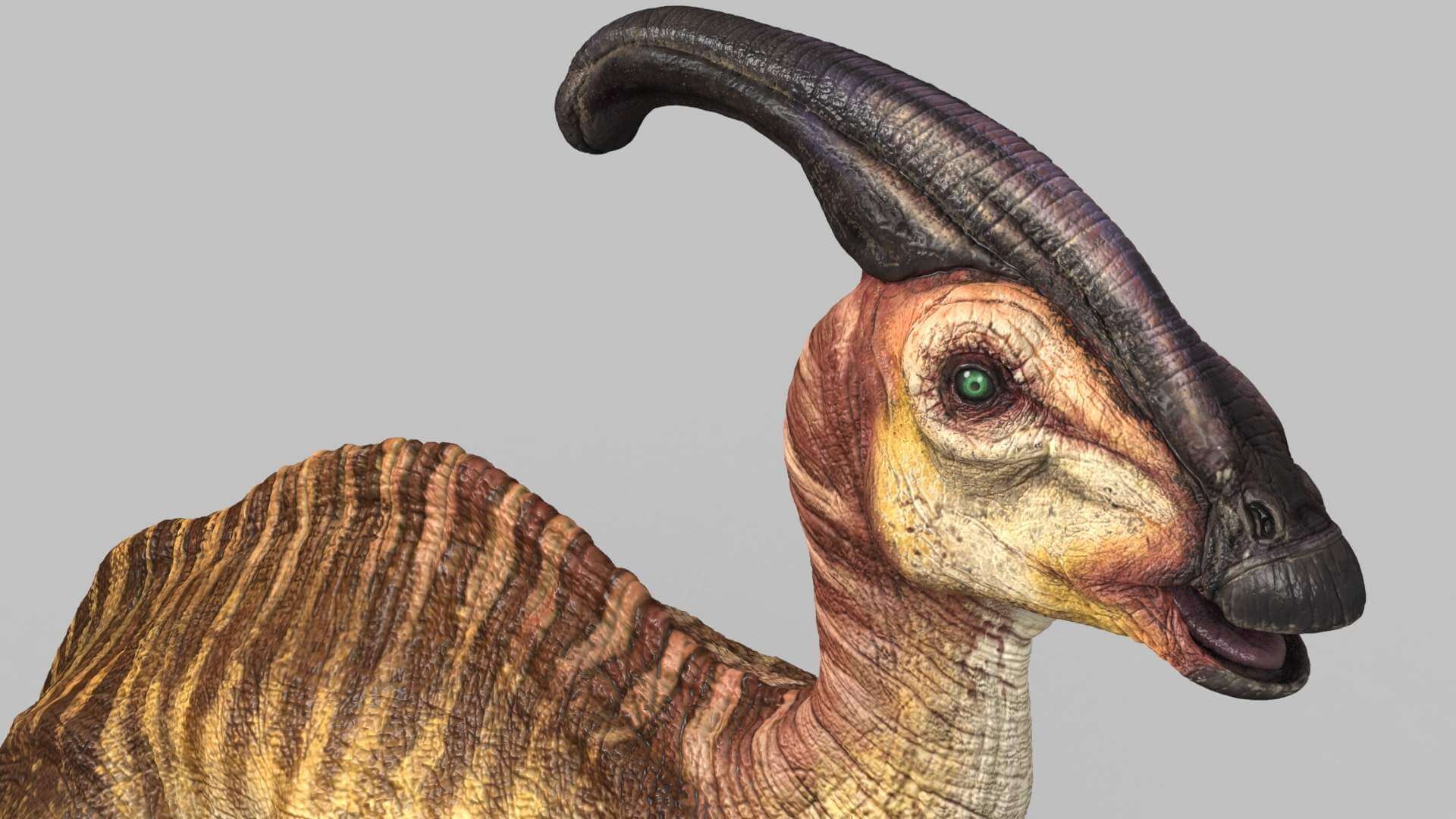 1920x1080 Parasauropholus