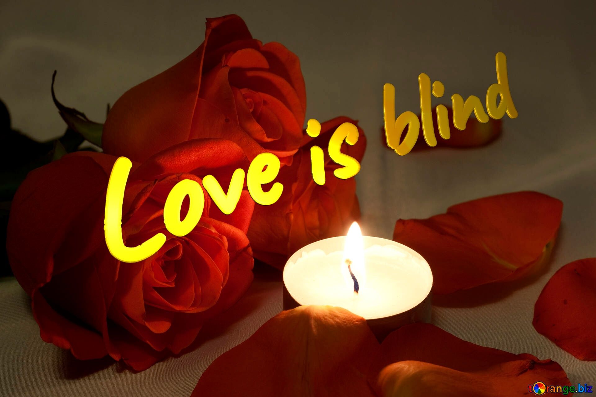 1920x1280 Love Is Blind Free Image