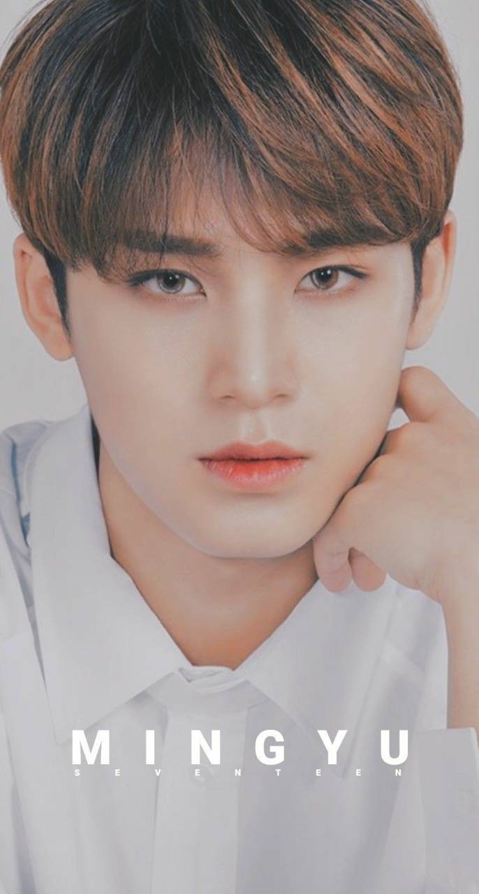 Mingyu Wallpapers Top Free Mingyu Backgrounds Wallpap - vrogue.co