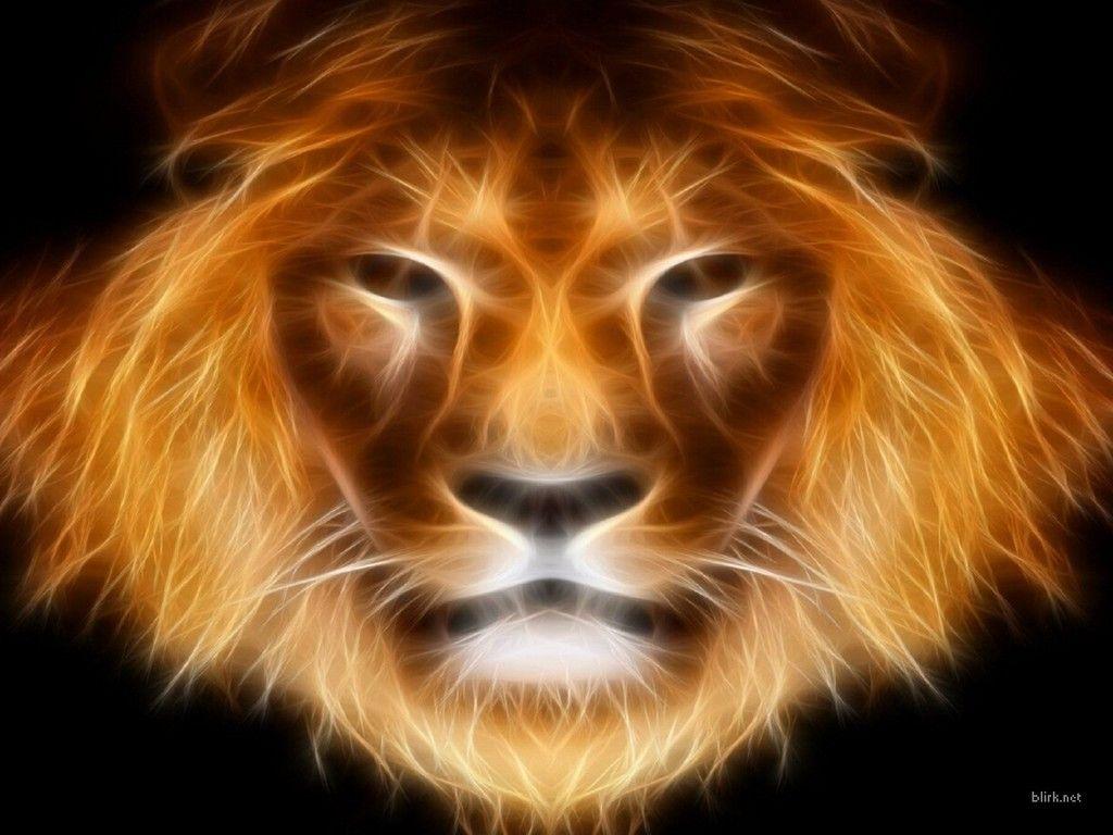 1024x768 Free Lion Face Image, Download Free Clip Art, Free Clip Art on Clipart Library