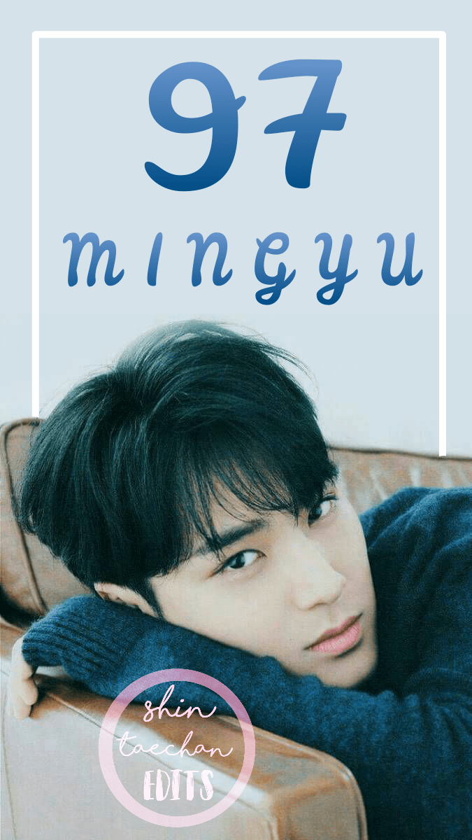 675x1200 Top Ten Seventeen Mingyu Wallpaper