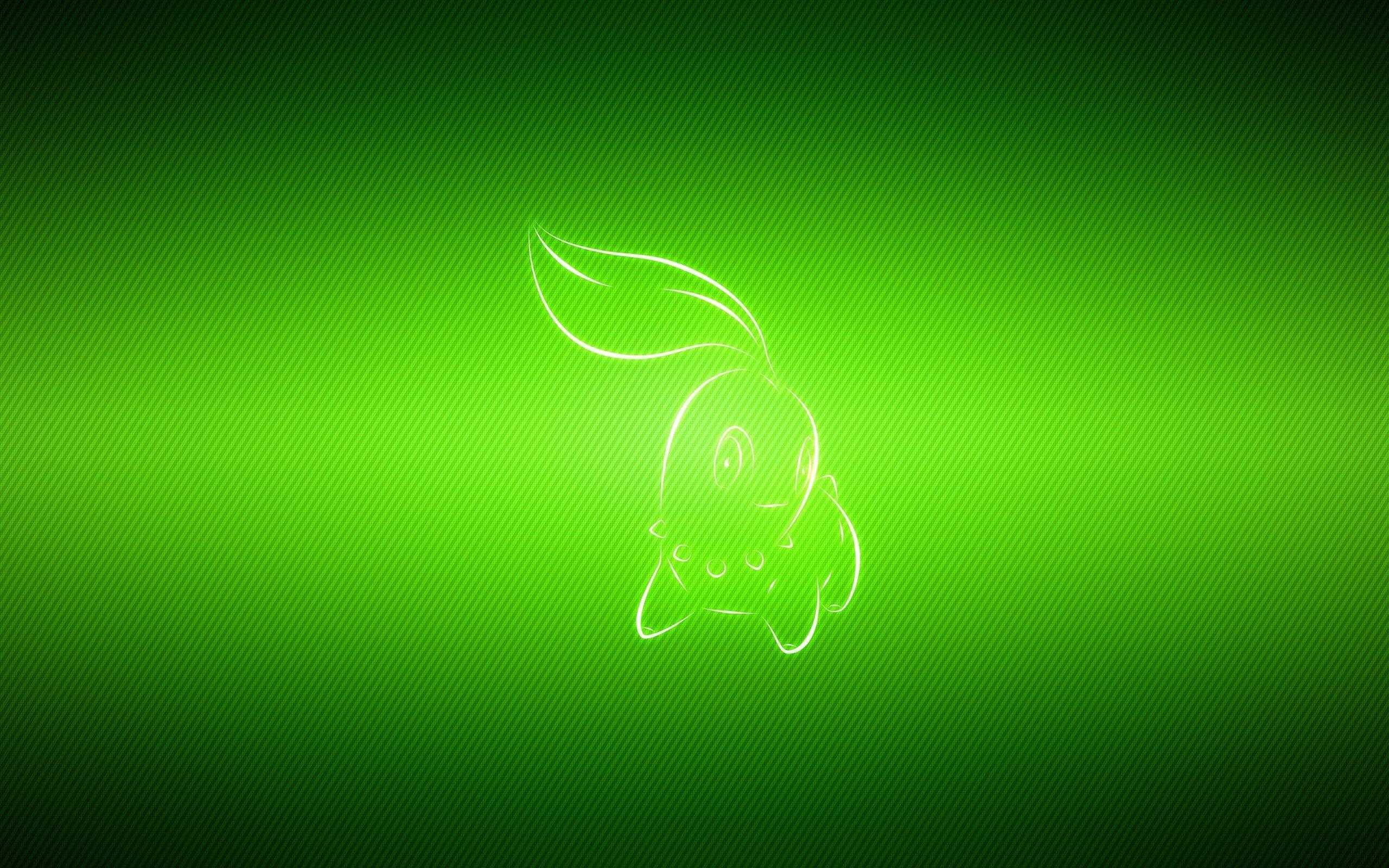 2560x1600 Chikorita HD Wallpaper