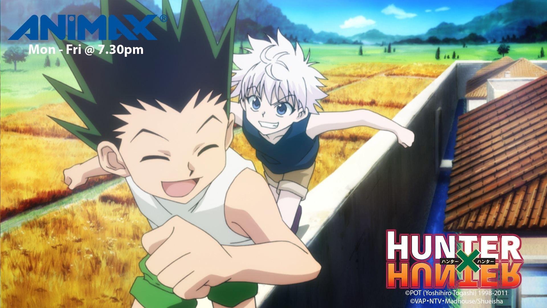 HD desktop wallpaper: Anime, Gon Freecss, Hunter X Hunter, Killua Zoldyck  download free picture #1017725