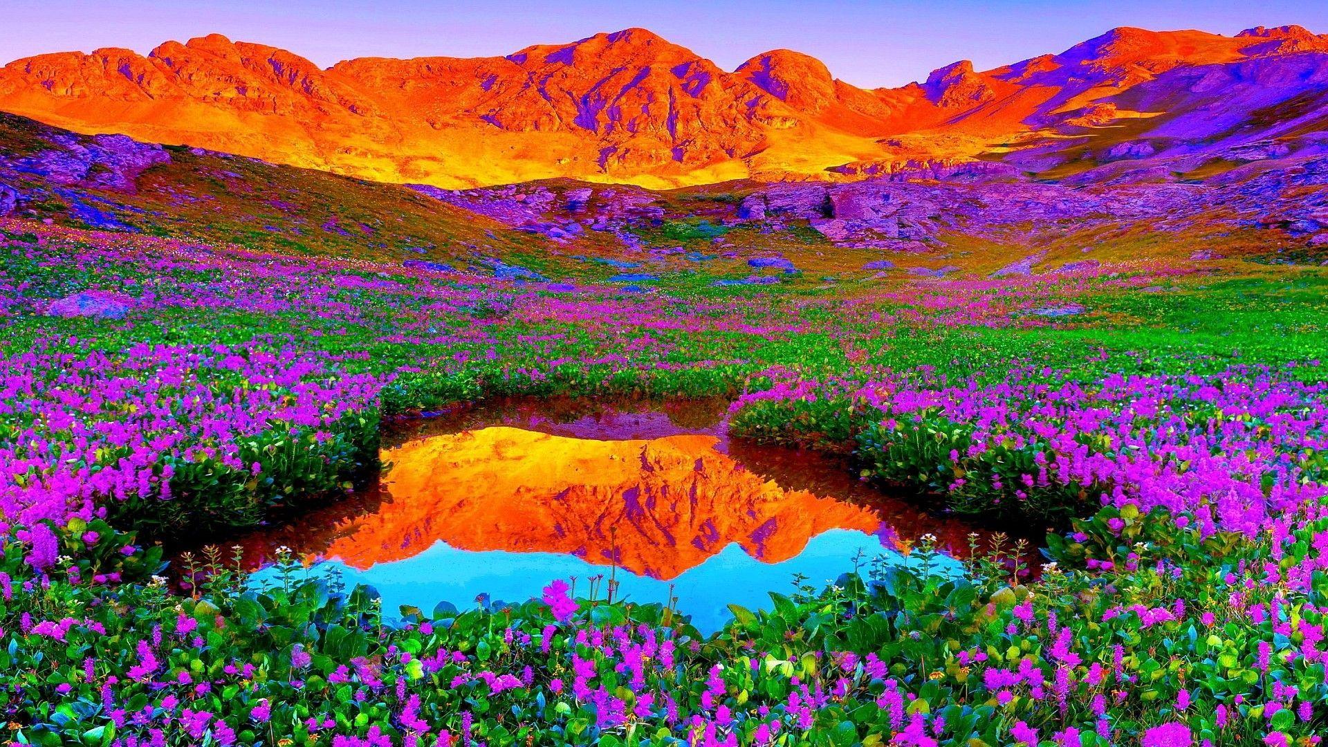 Cool Colorful Nature Wallpapers - Free Colorful Nature Backgrounds - WallpaperAccess