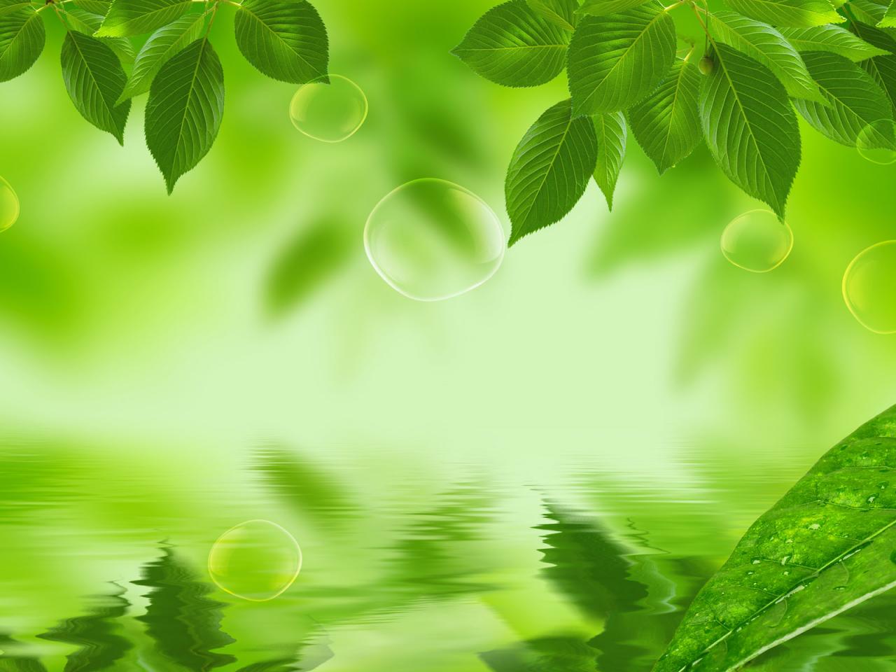 Fresh Nature Wallpapers Top Free Fresh Nature Backgrounds Wallpaperaccess 8207