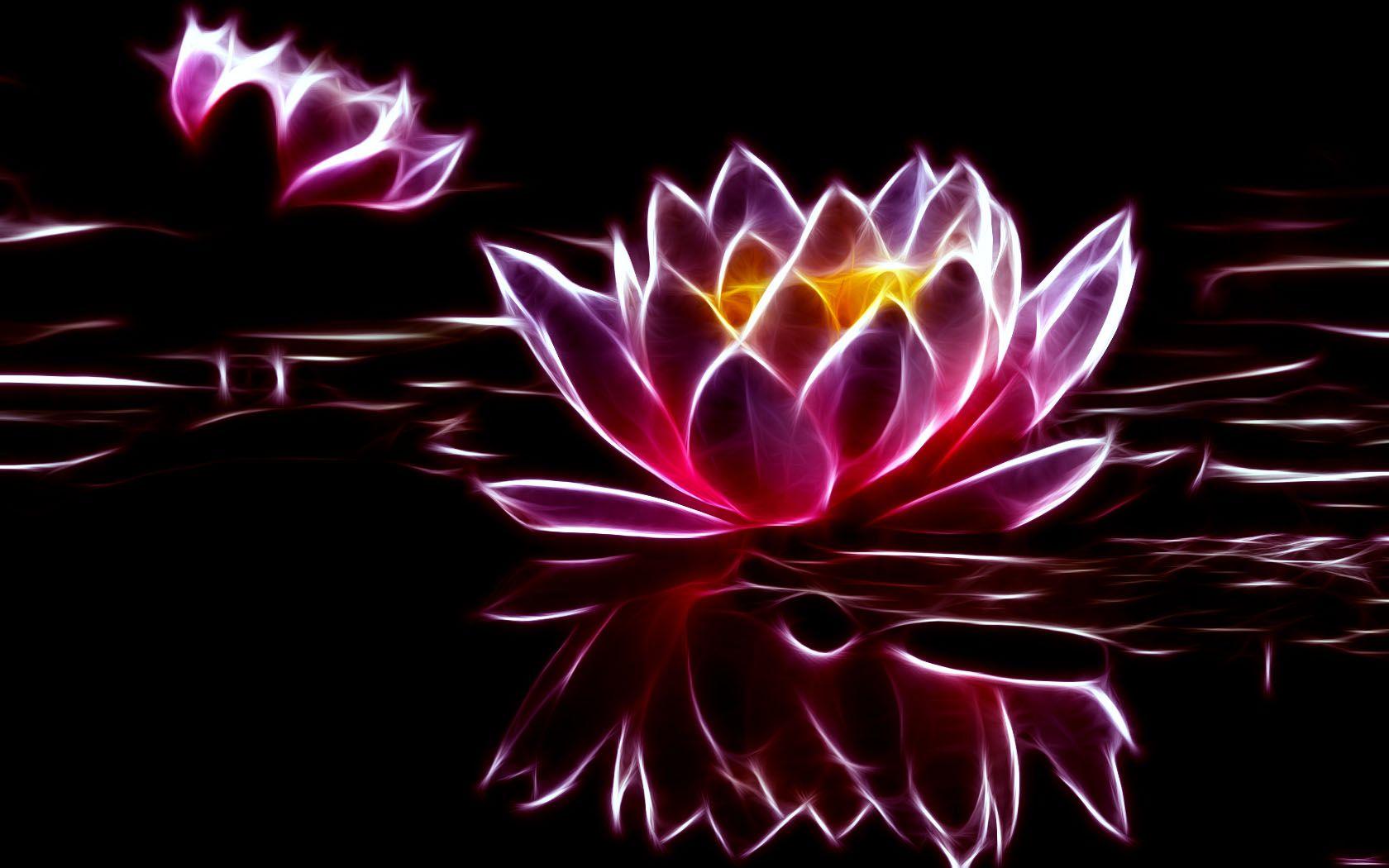 1680x1050 Water Lilies