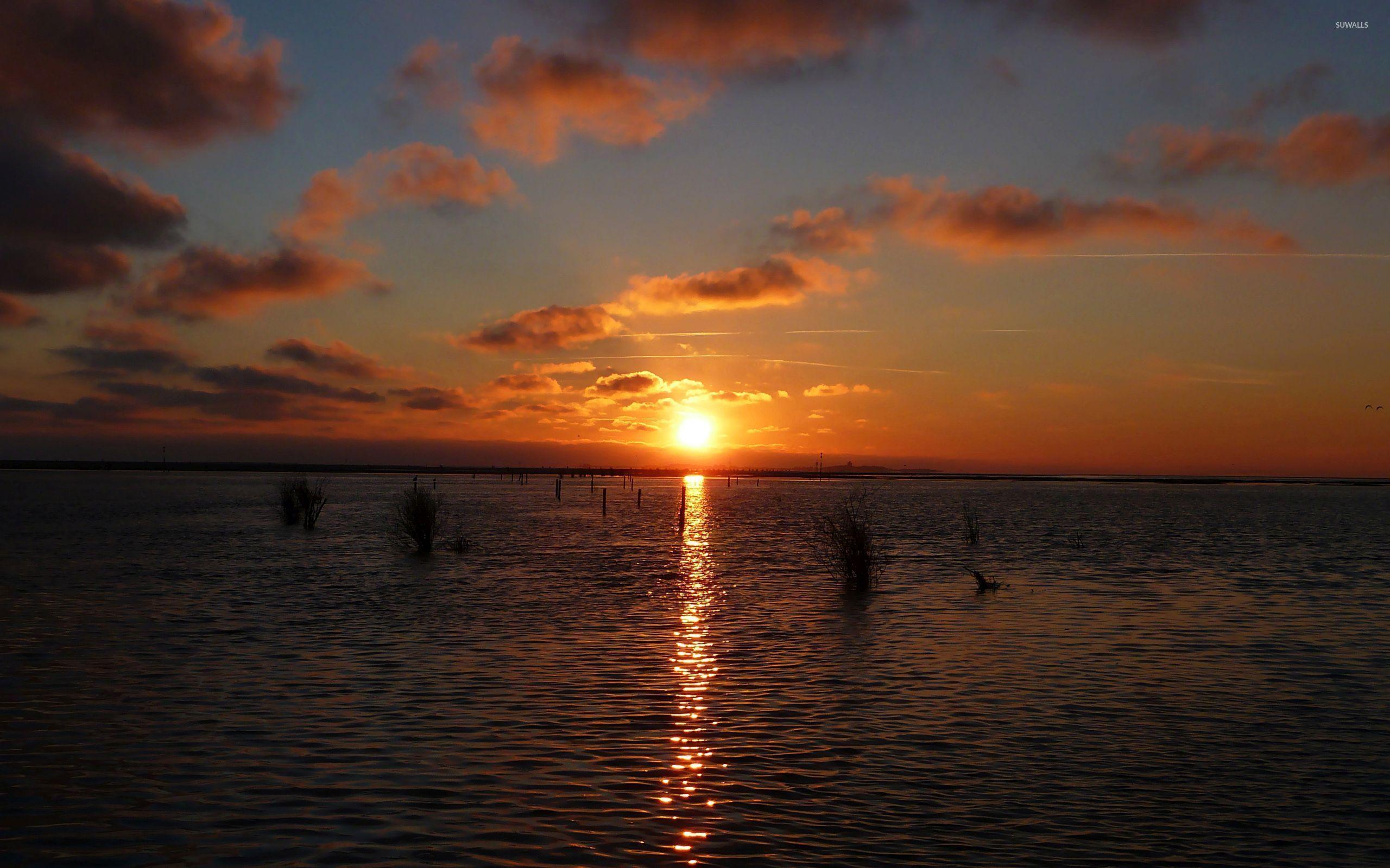 2560x1600 Sun trail on the surface of the water wallpaper wallpaper