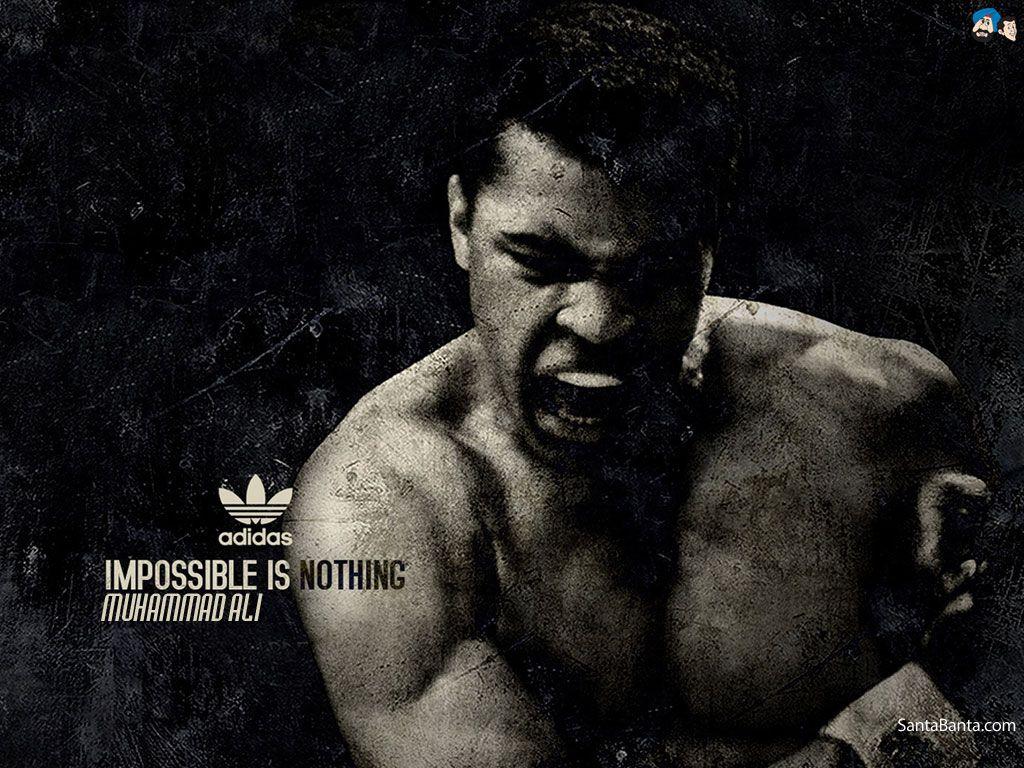 1024x768 Boxing Wallpaper