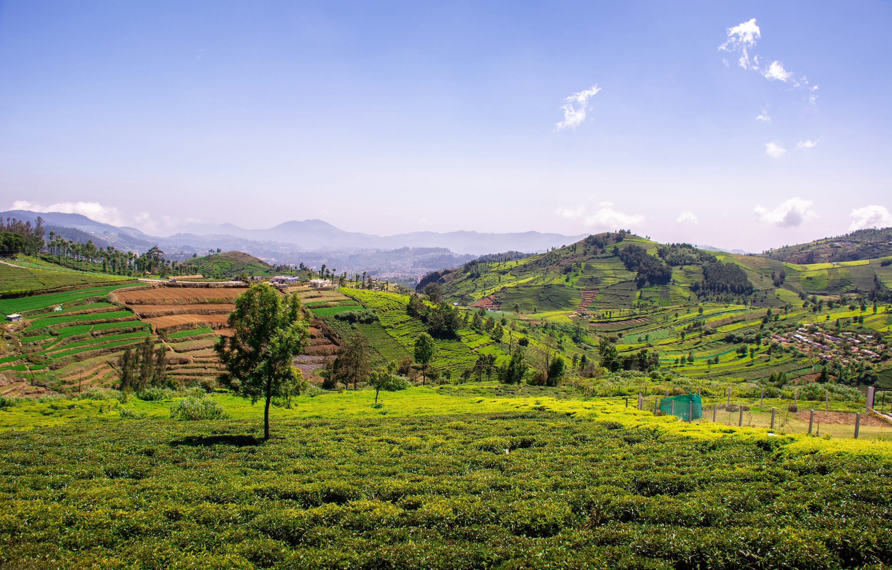 3000x1916 Coonoor Picture. Download Free Image